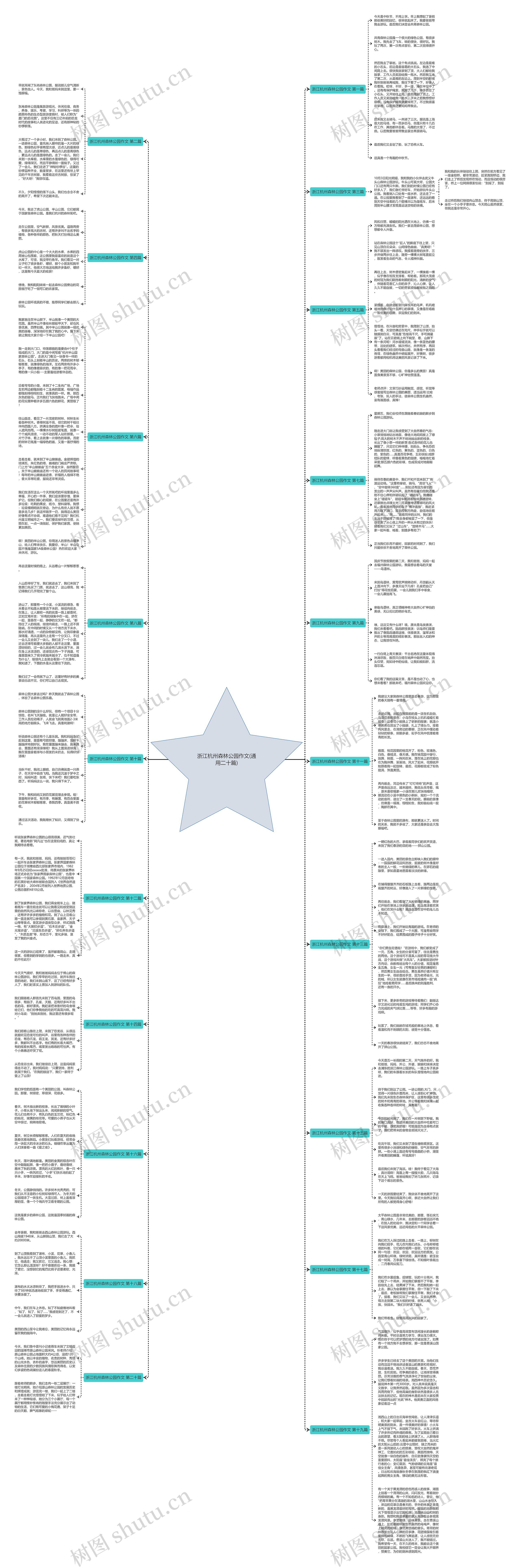 浙江杭州森林公园作文(通用二十篇)思维导图