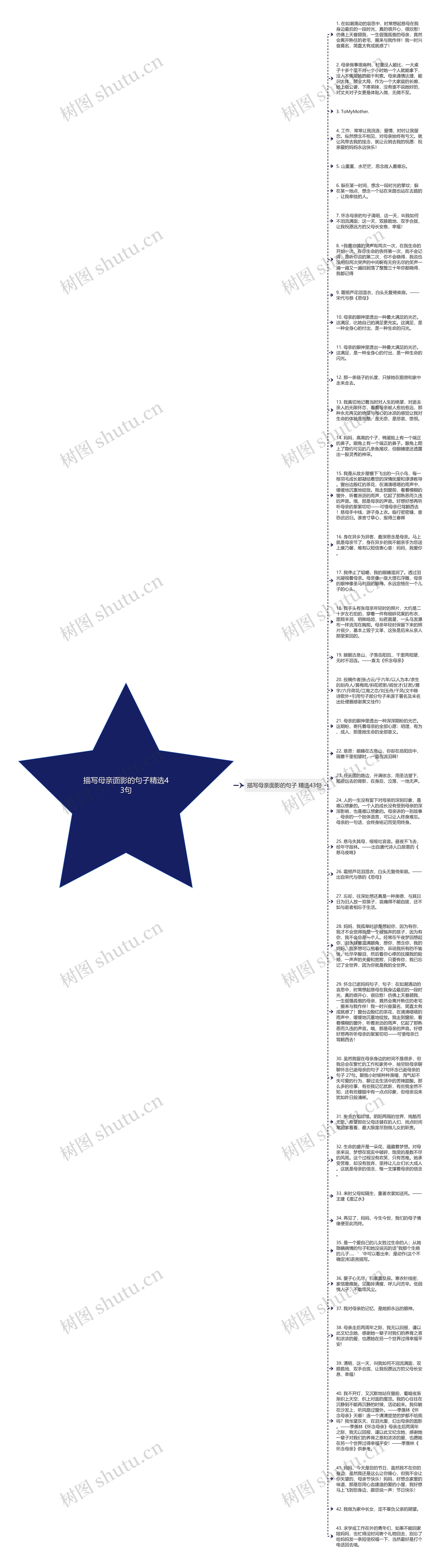 描写母亲面影的句子精选43句思维导图