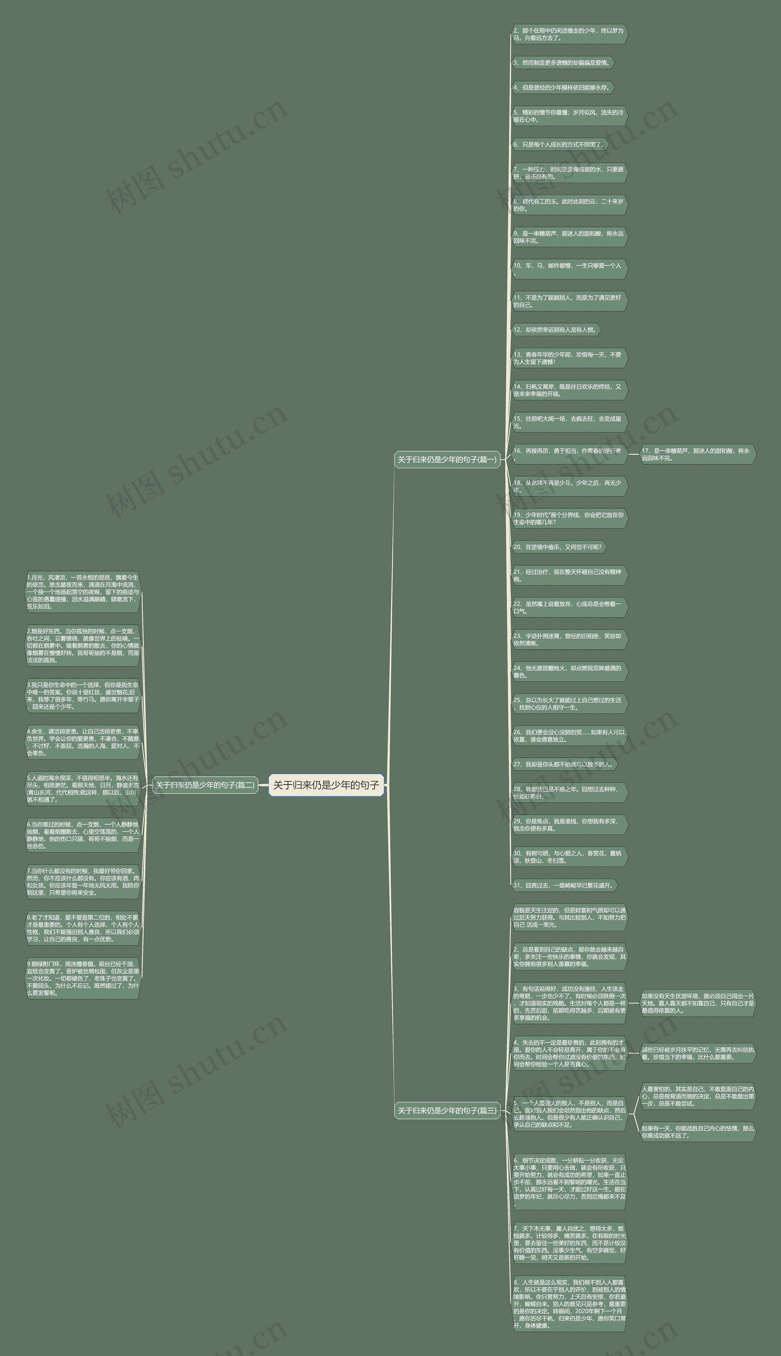 关于归来仍是少年的句子思维导图