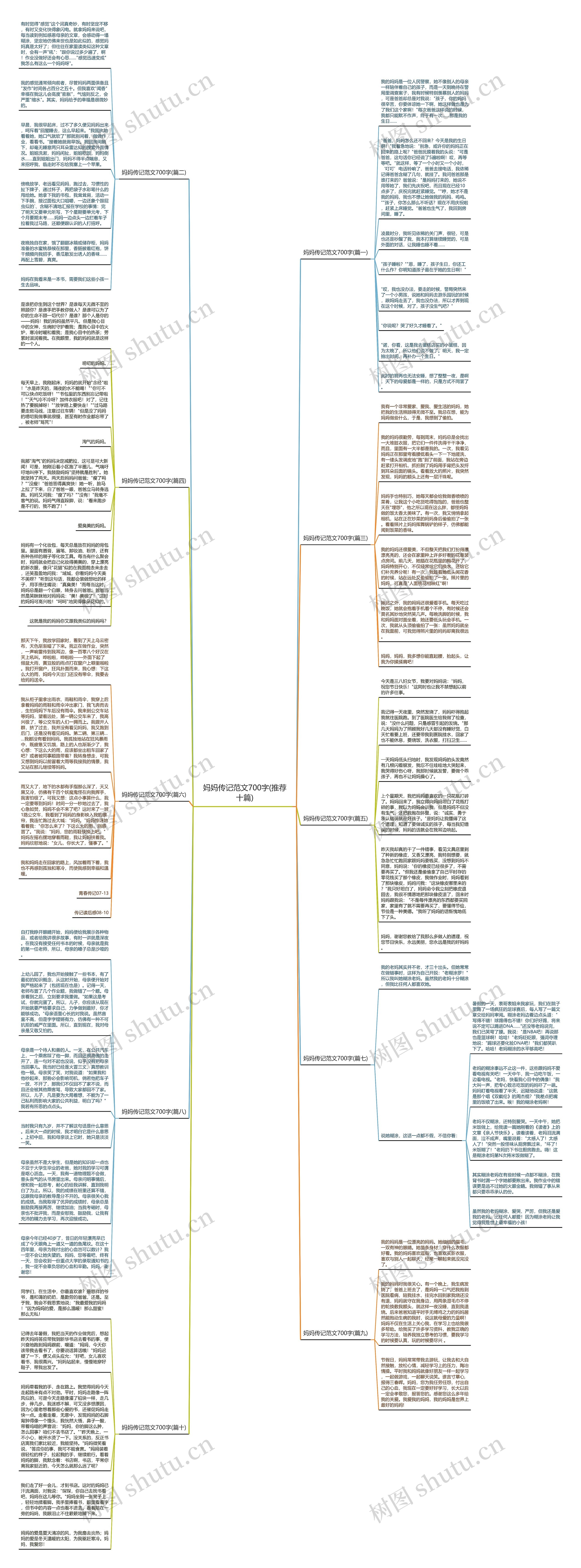 妈妈传记范文700字(推荐十篇)思维导图