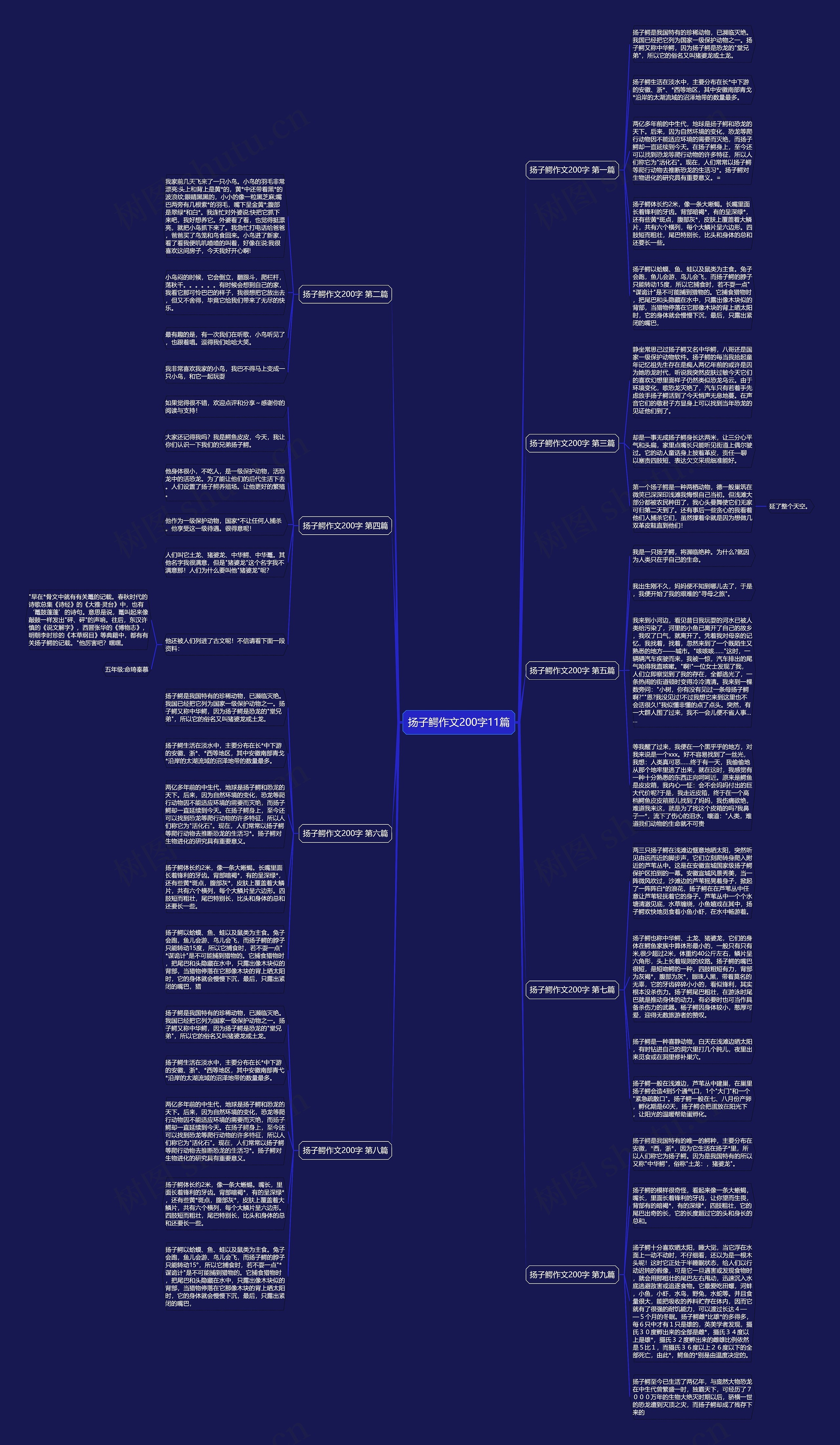 扬子鳄作文200字11篇思维导图