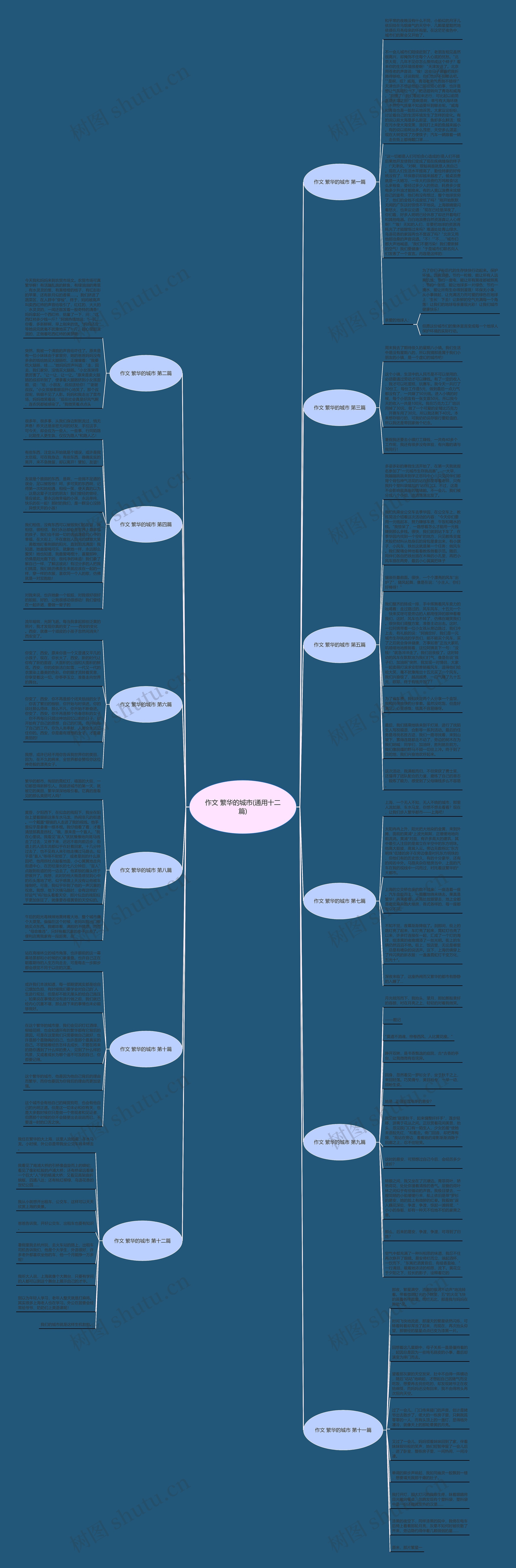 作文 繁华的城市(通用十二篇)思维导图