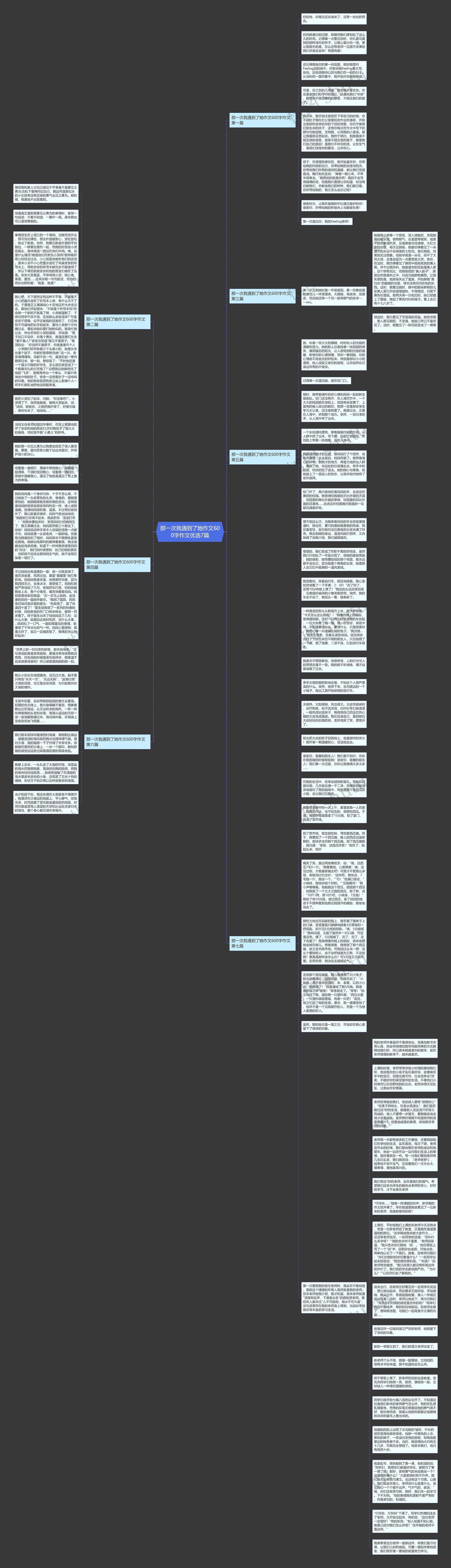 那一次我遇到了她作文600字作文优选7篇思维导图