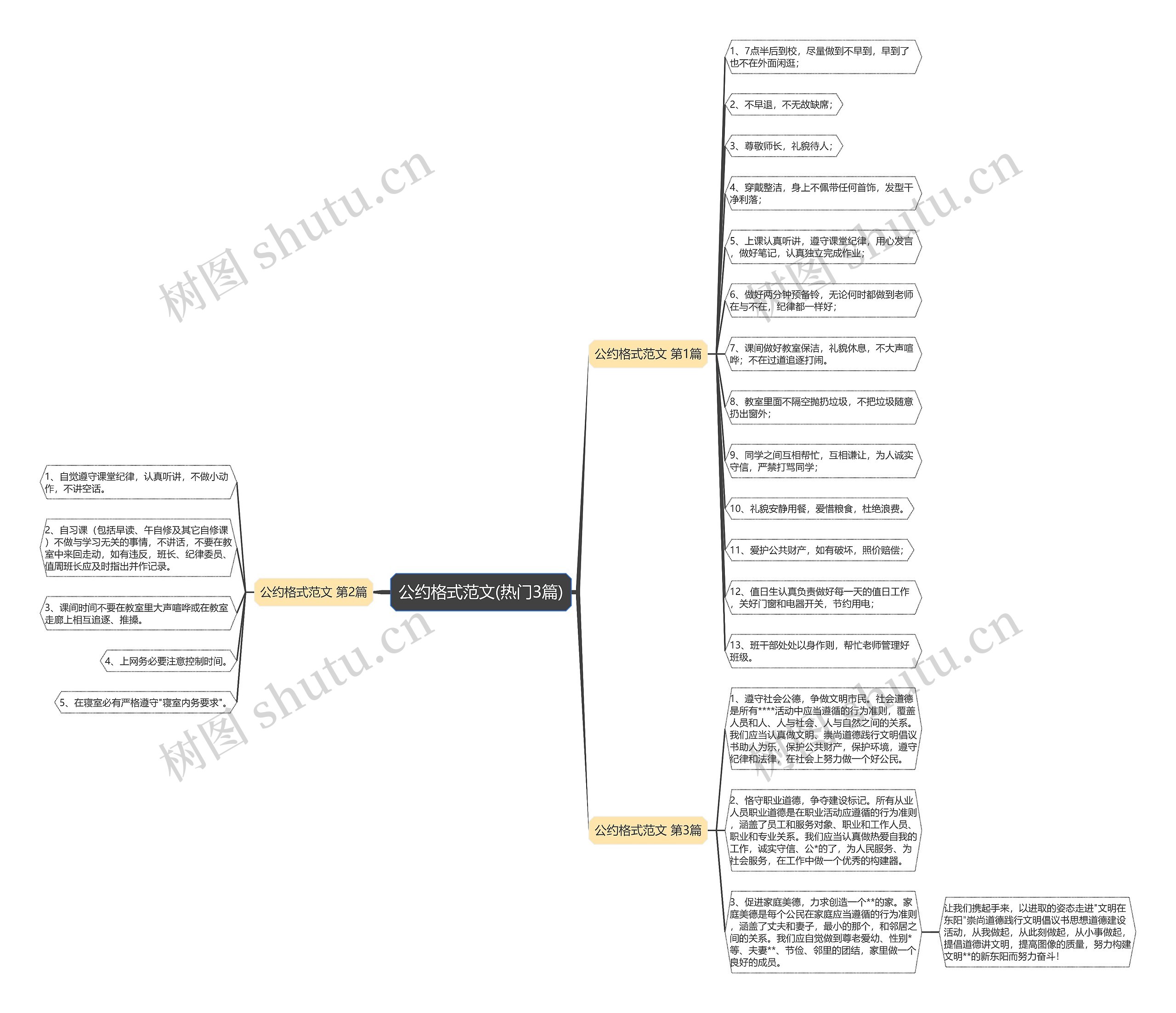 公约格式范文(热门3篇)思维导图