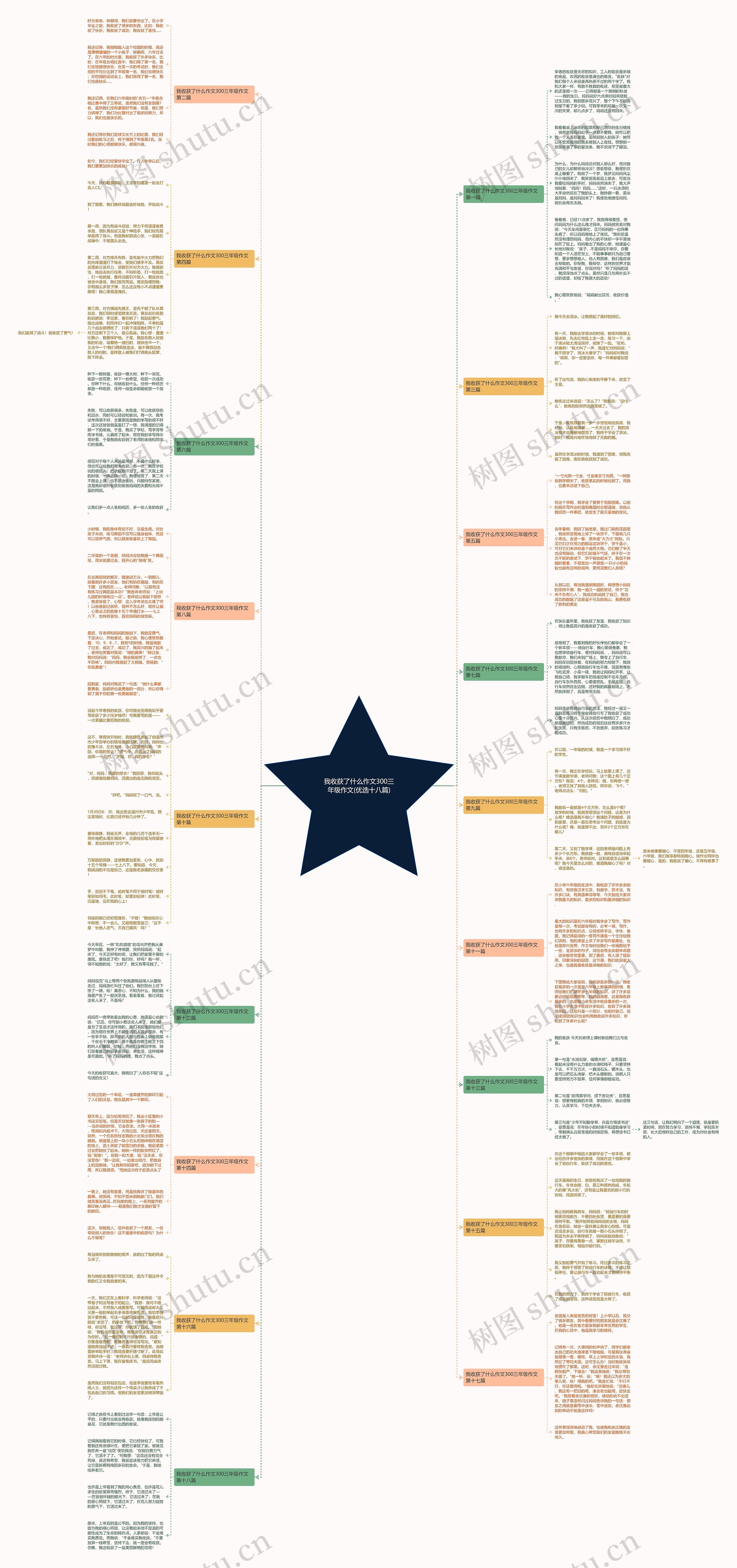我收获了什么作文300三年级作文(优选十八篇)思维导图