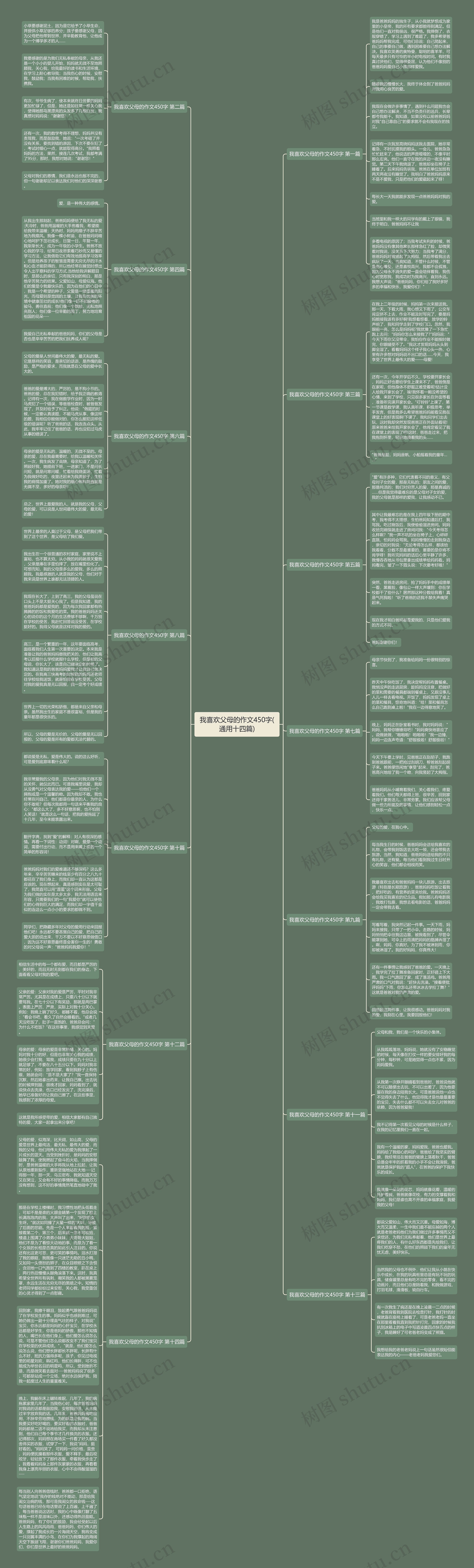 我喜欢父母的作文450字(通用十四篇)思维导图