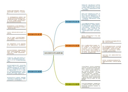 种向日葵作文开头推荐5篇思维导图