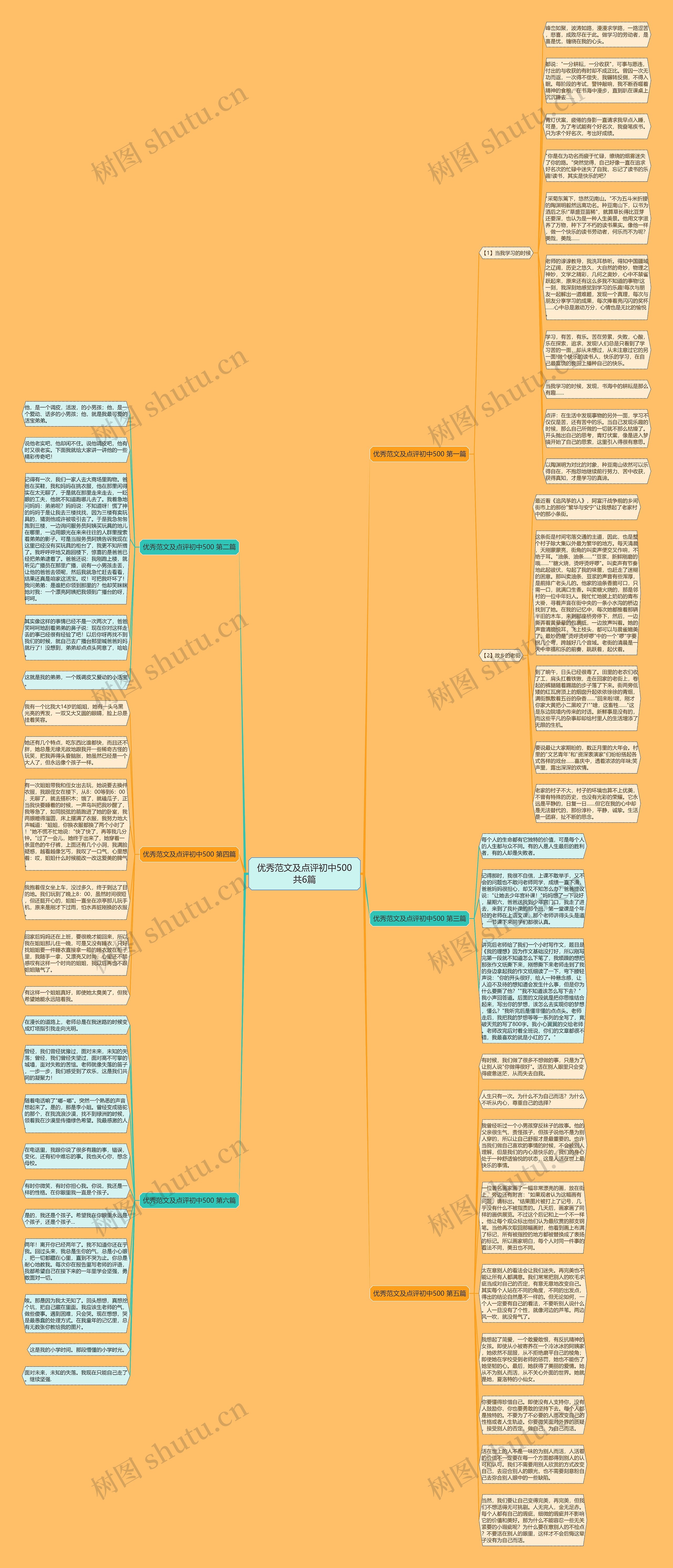 优秀范文及点评初中500共6篇