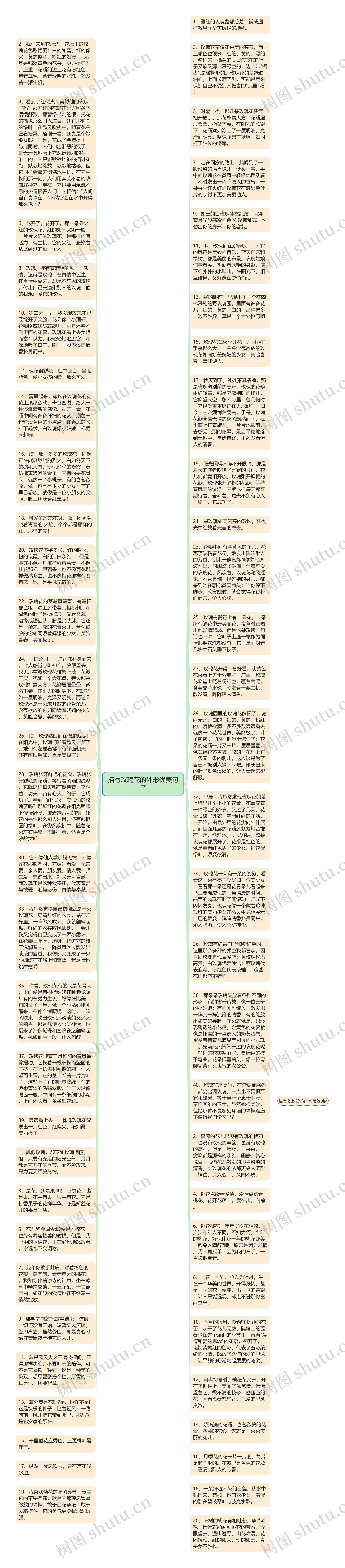 描写玫瑰花的外形优美句子思维导图