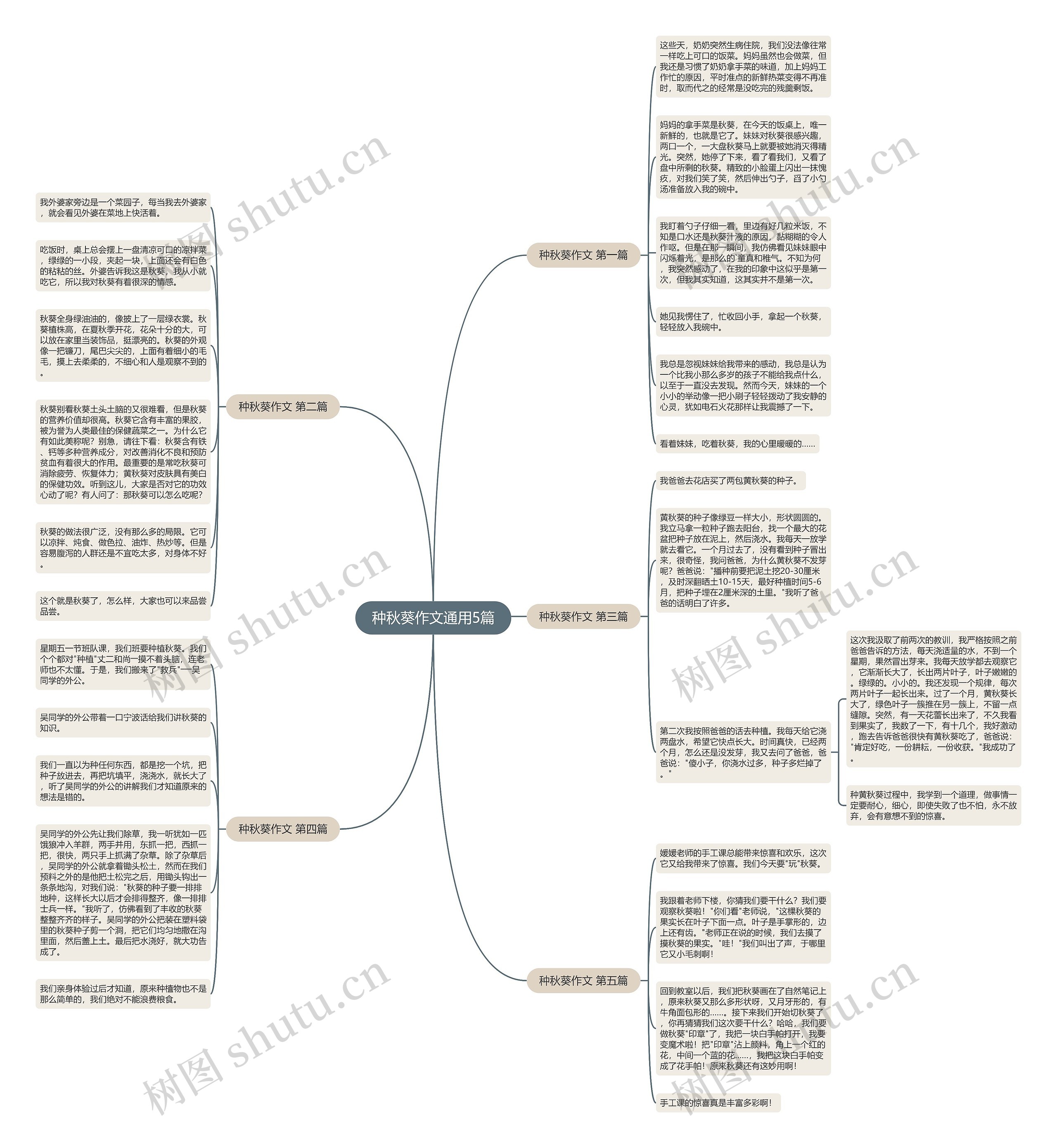 种秋葵作文通用5篇思维导图