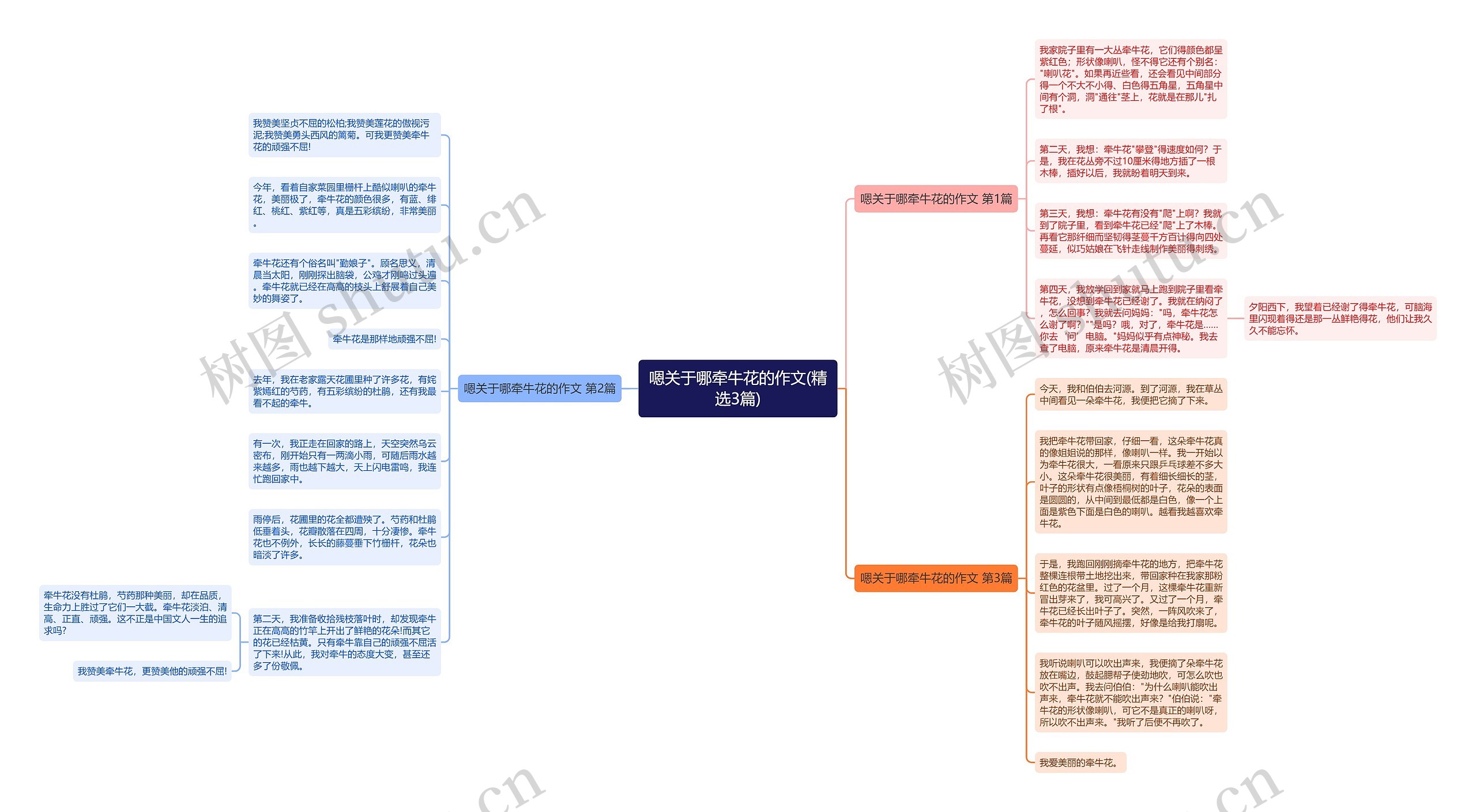 嗯关于哪牵牛花的作文(精选3篇)思维导图