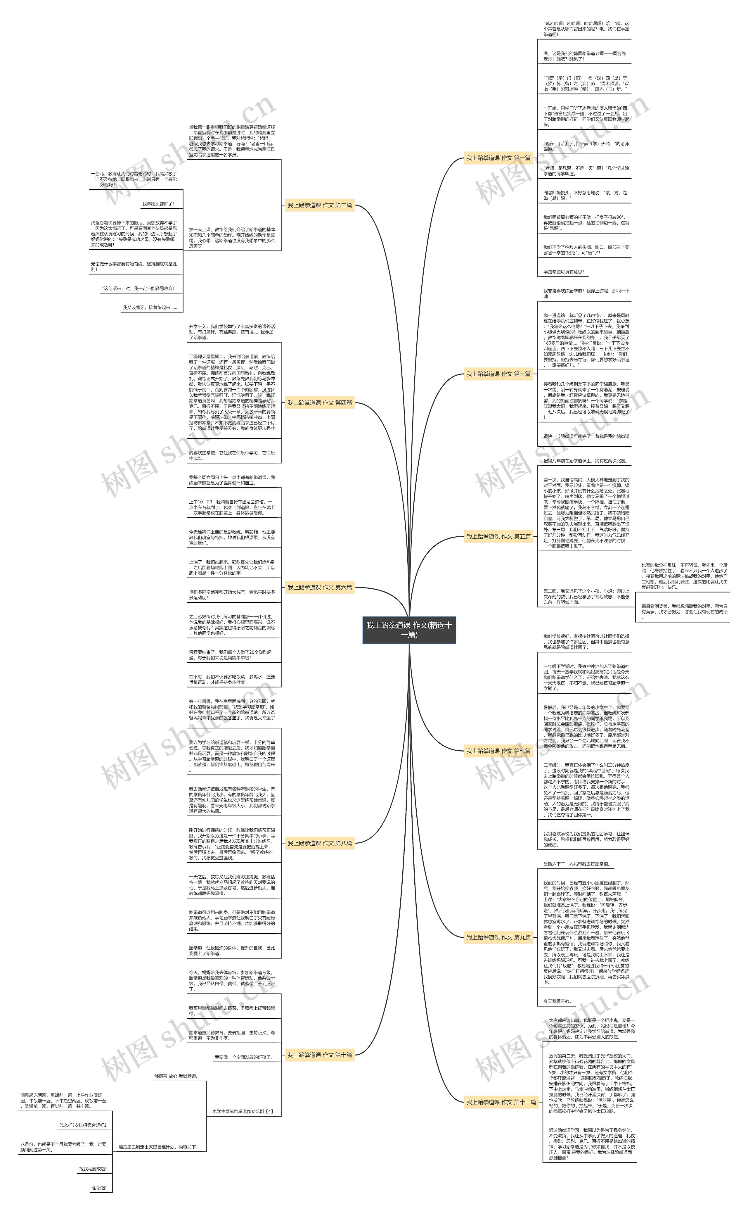 我上跆拳道课 作文(精选十一篇)思维导图
