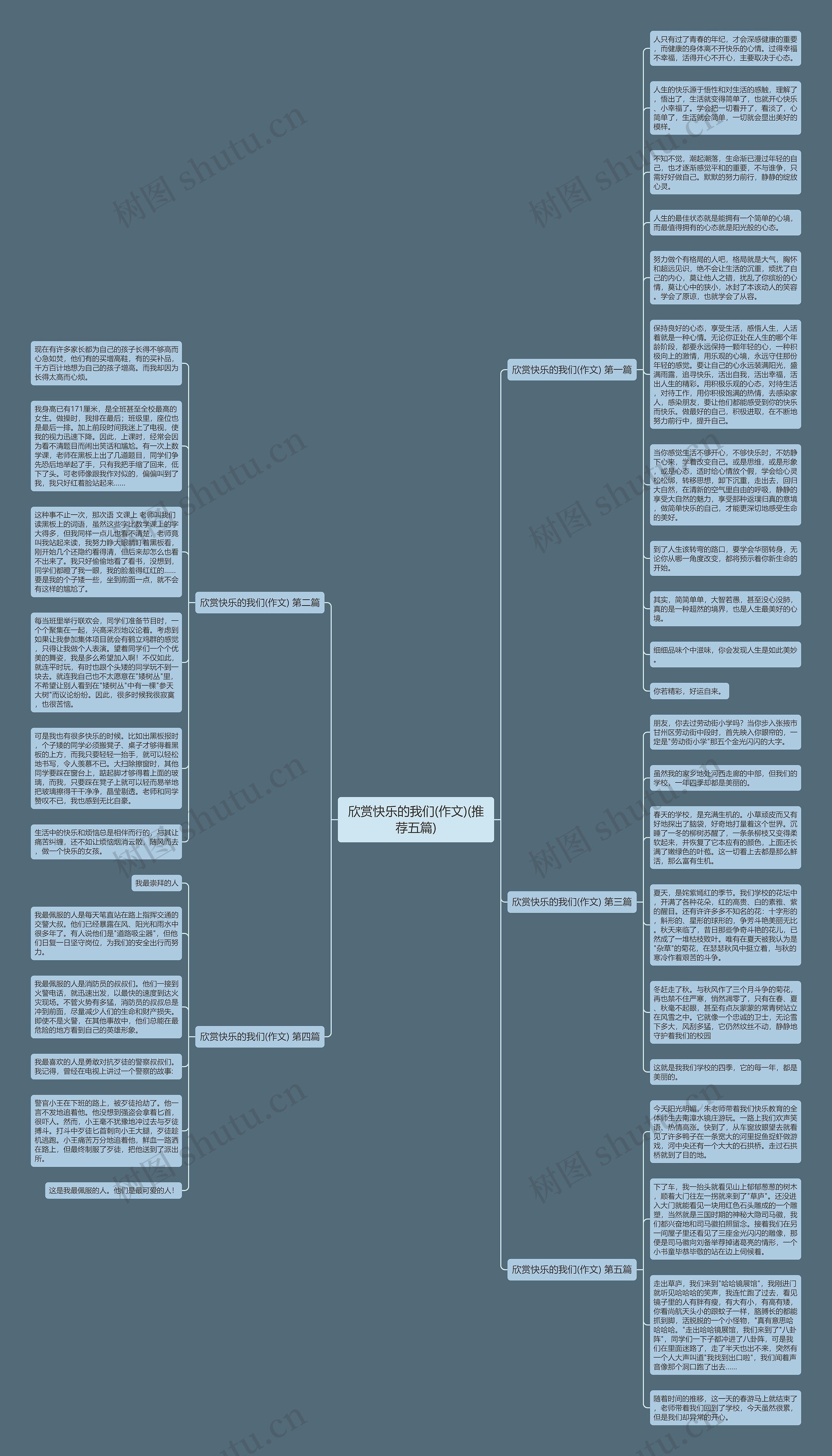 欣赏快乐的我们(作文)(推荐五篇)思维导图