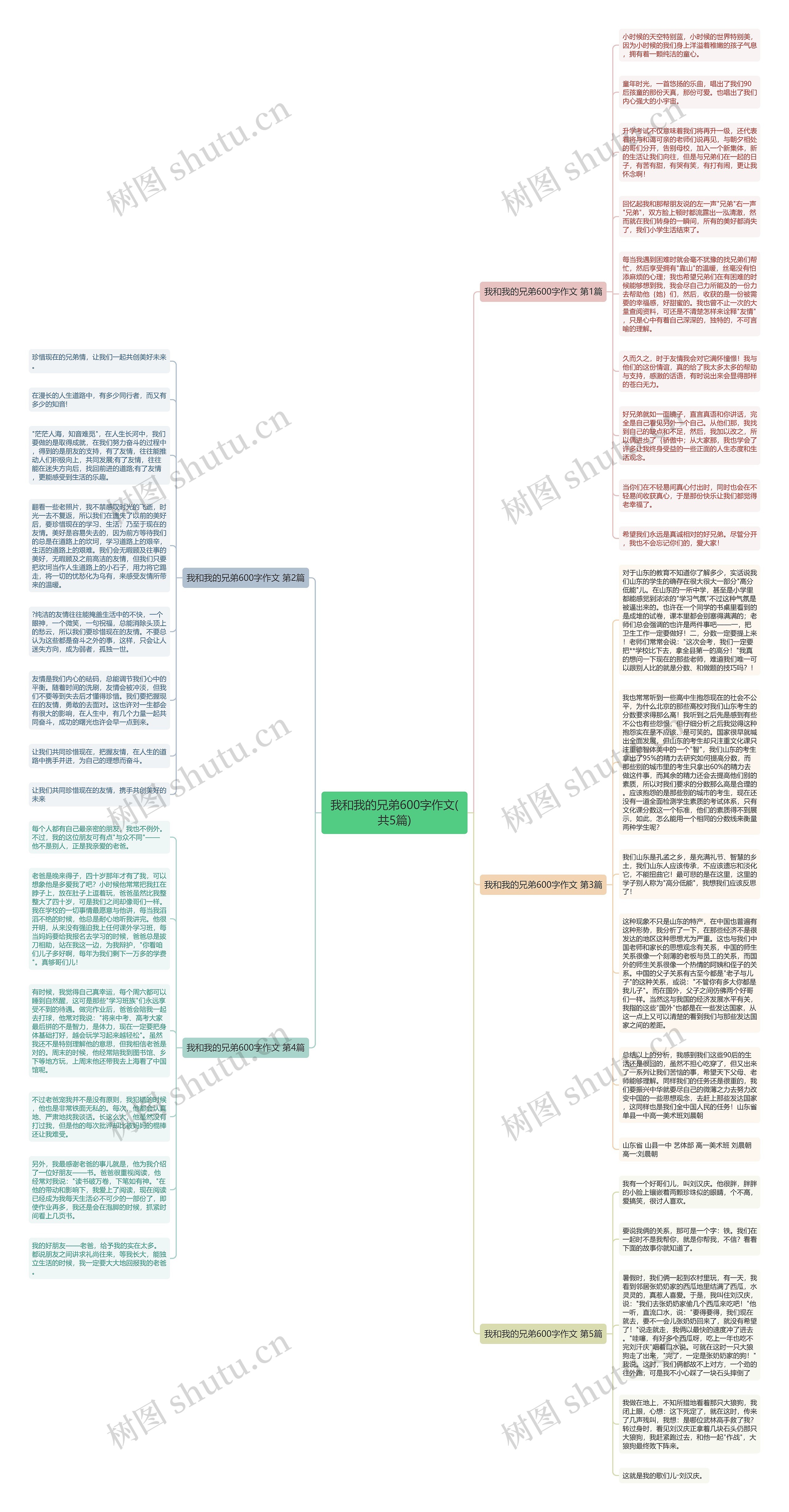 我和我的兄弟600字作文(共5篇)思维导图