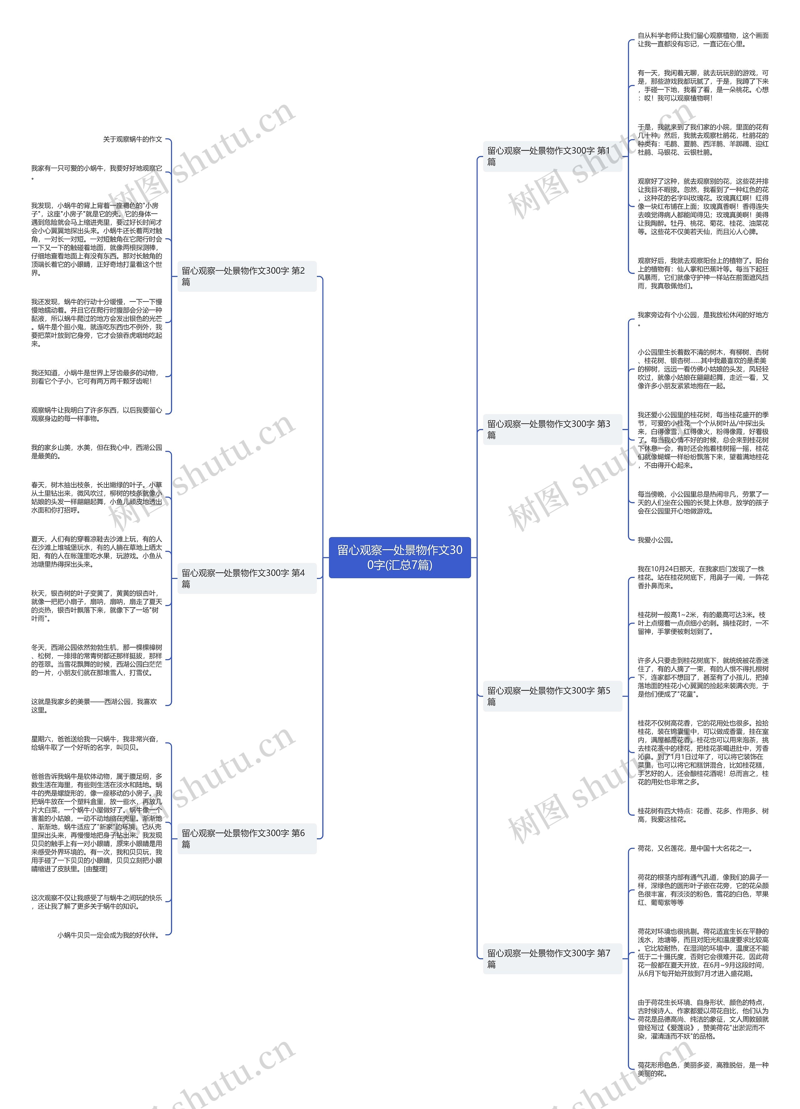 留心观察一处景物作文300字(汇总7篇)思维导图