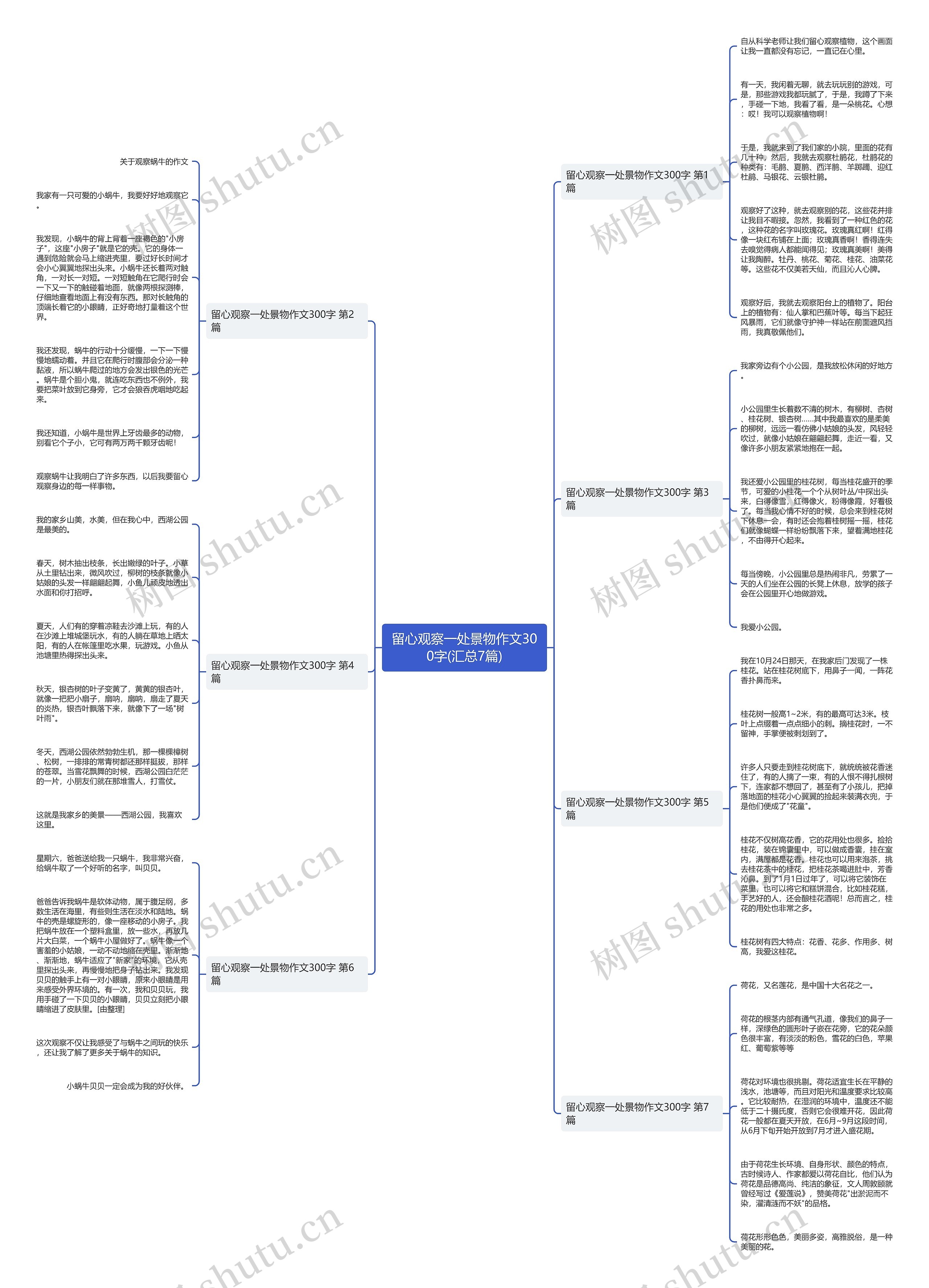 留心观察一处景物作文300字(汇总7篇) 留心观察一处景物作文300字(汇总7篇)