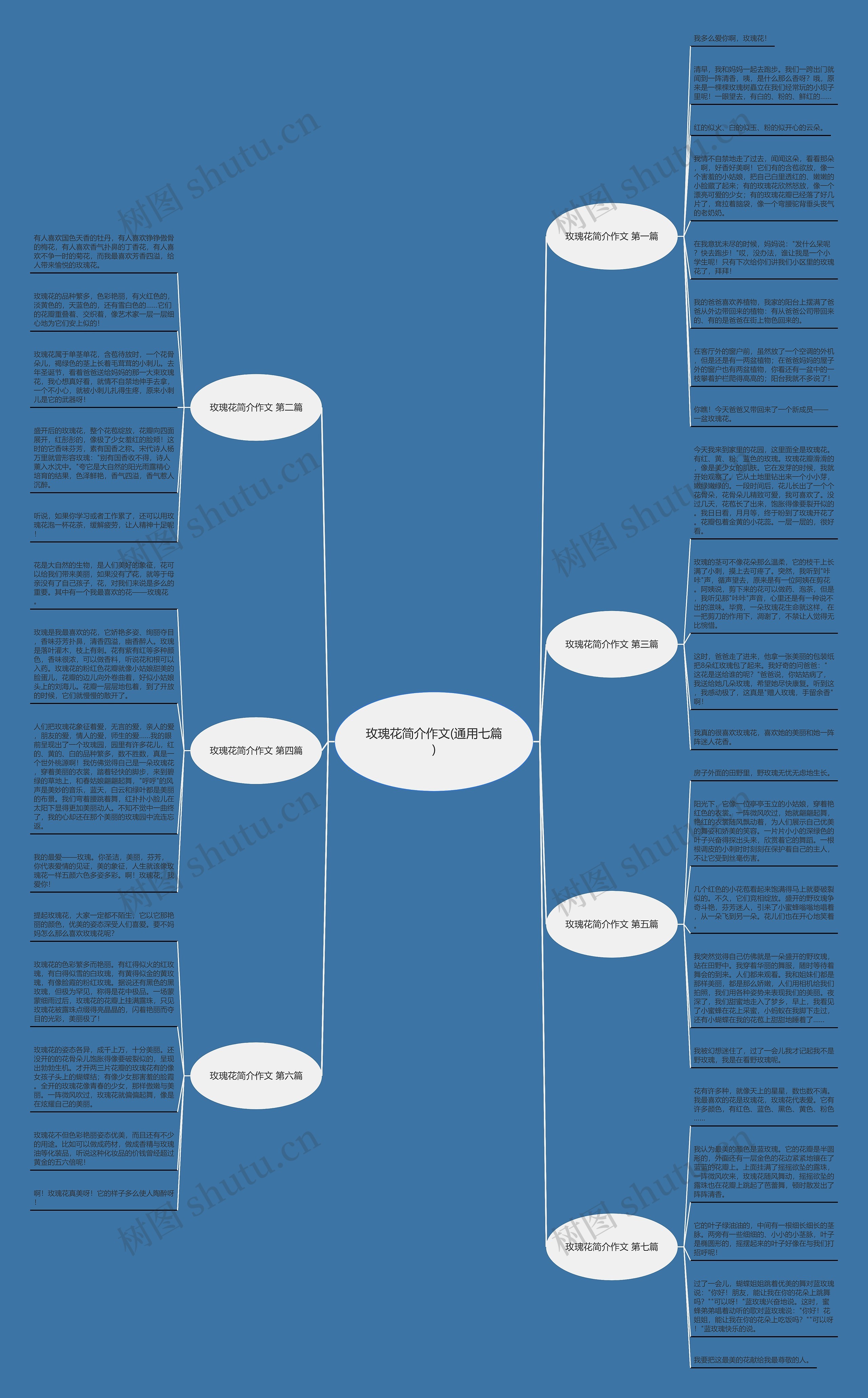 玫瑰花简介作文(通用七篇)思维导图