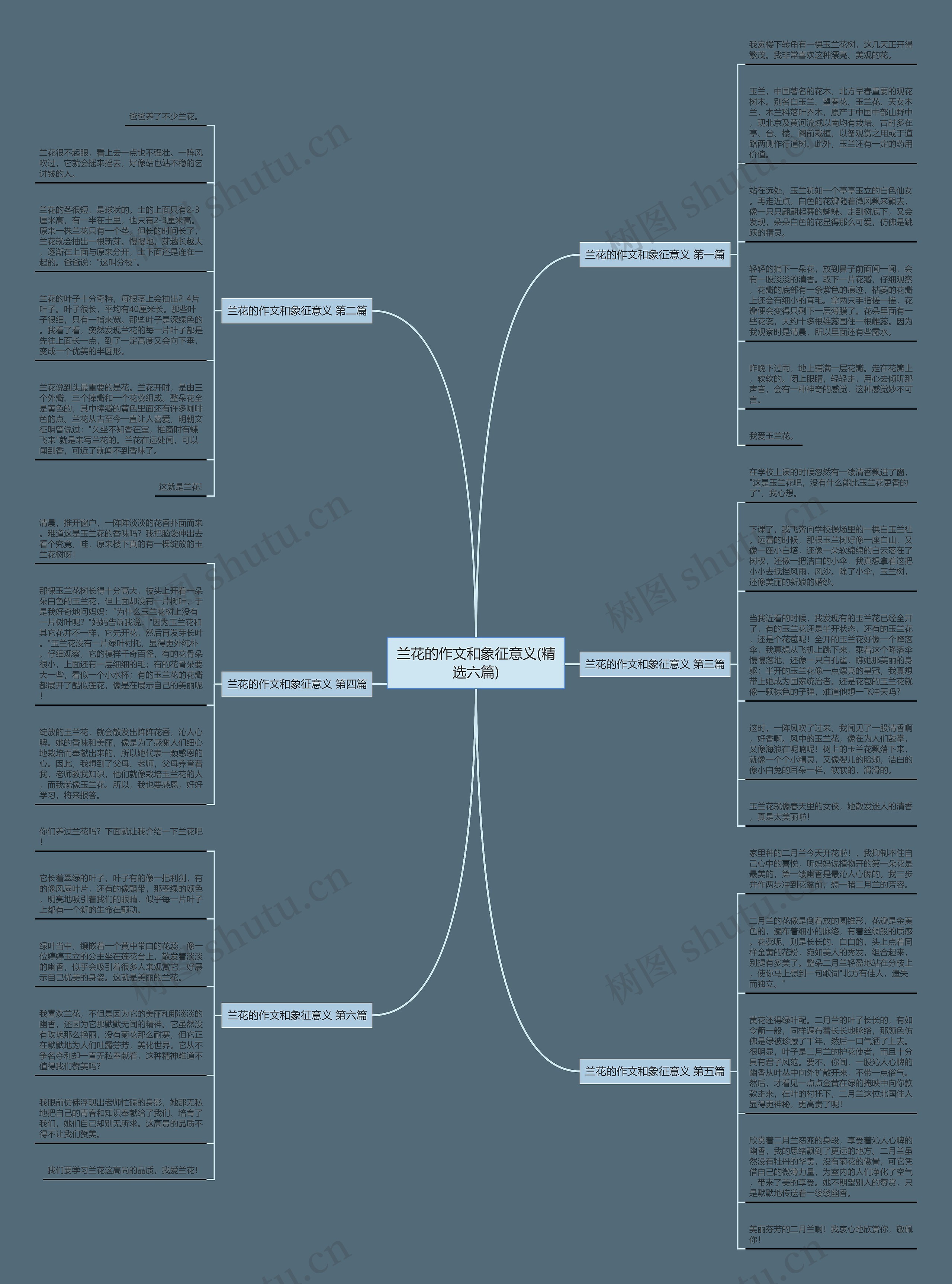 兰花的作文和象征意义(精选六篇)思维导图