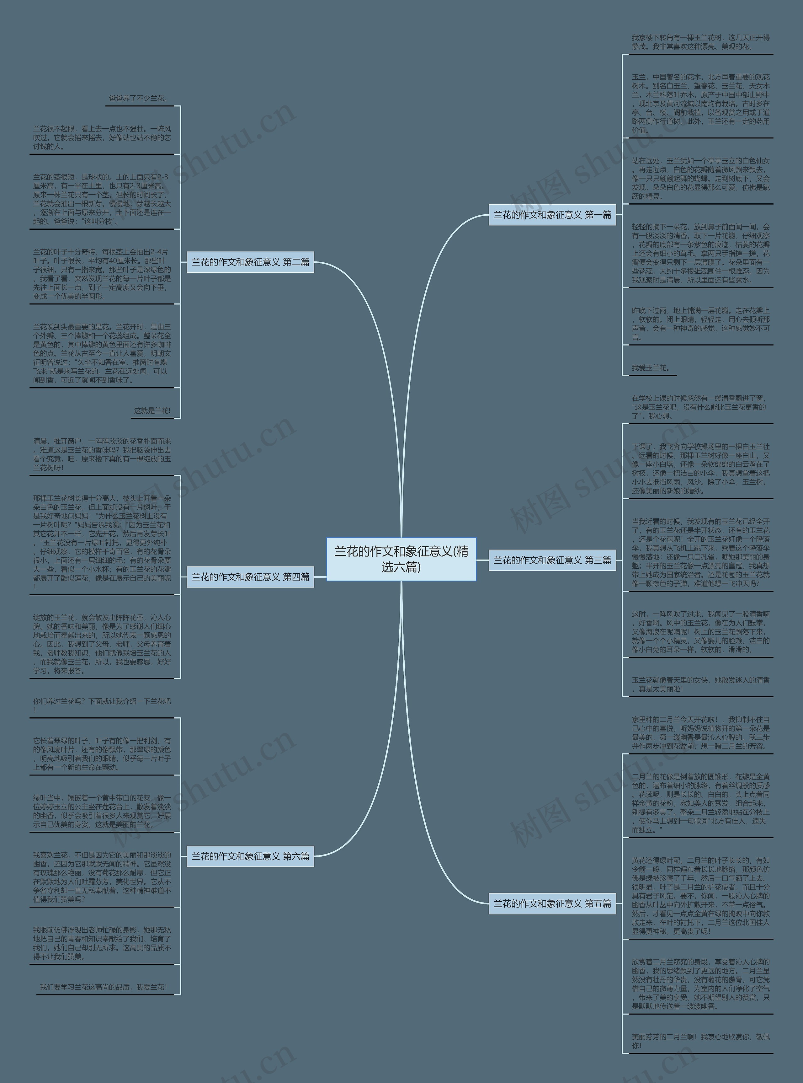 兰花的作文和象征意义(精选六篇) 兰花的作文和象征意义(精选六篇)