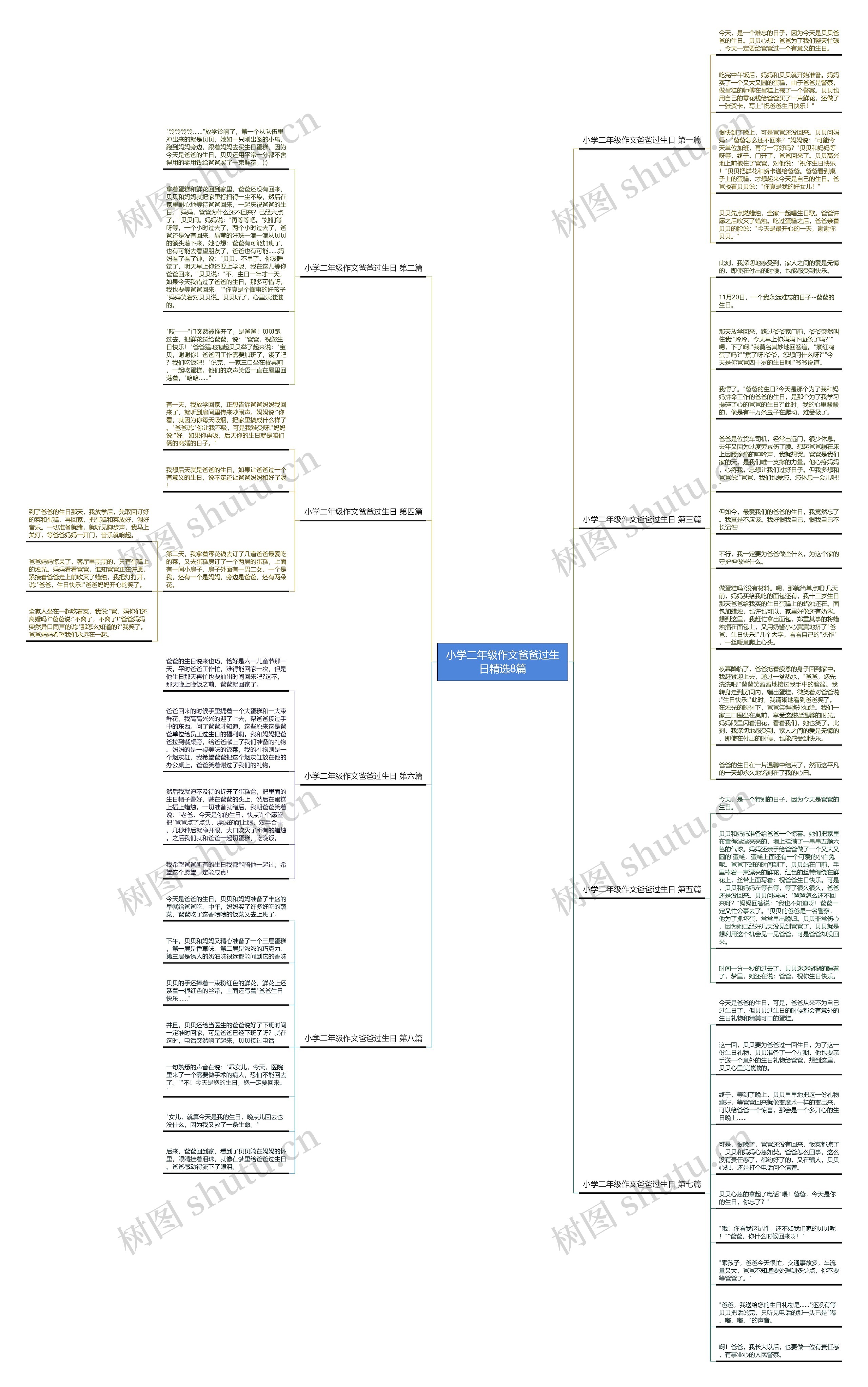 小学二年级作文爸爸过生日精选8篇思维导图