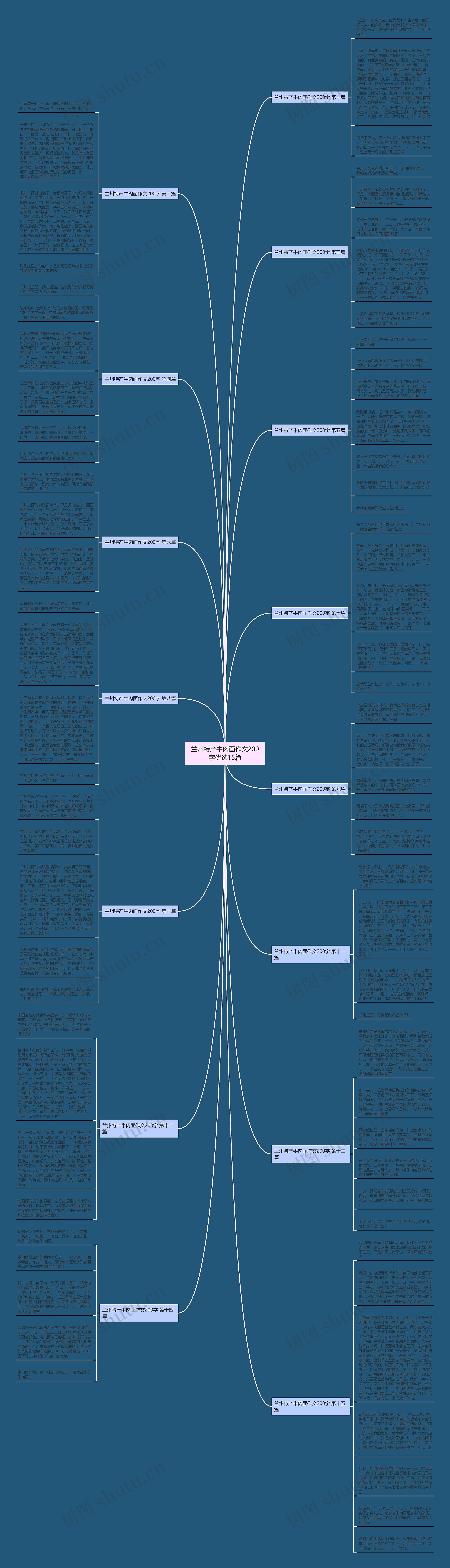 兰州特产牛肉面作文200字优选15篇思维导图