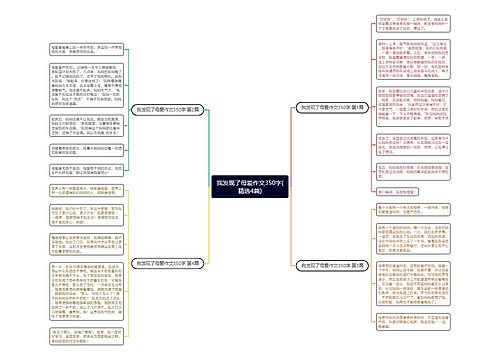 我发现了母爱作文350字(精选4篇)思维导图