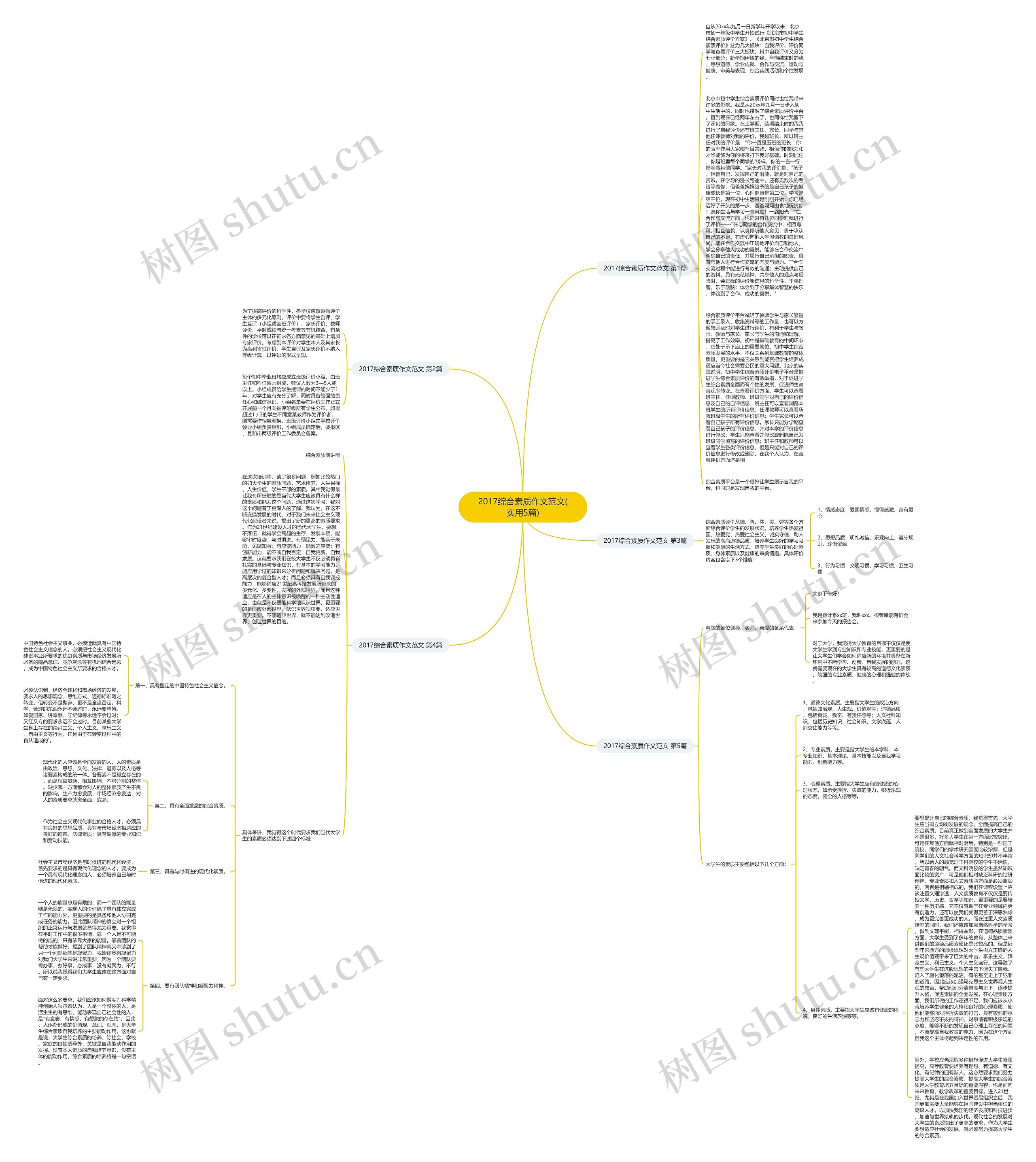 2017综合素质作文范文(实用5篇)思维导图
