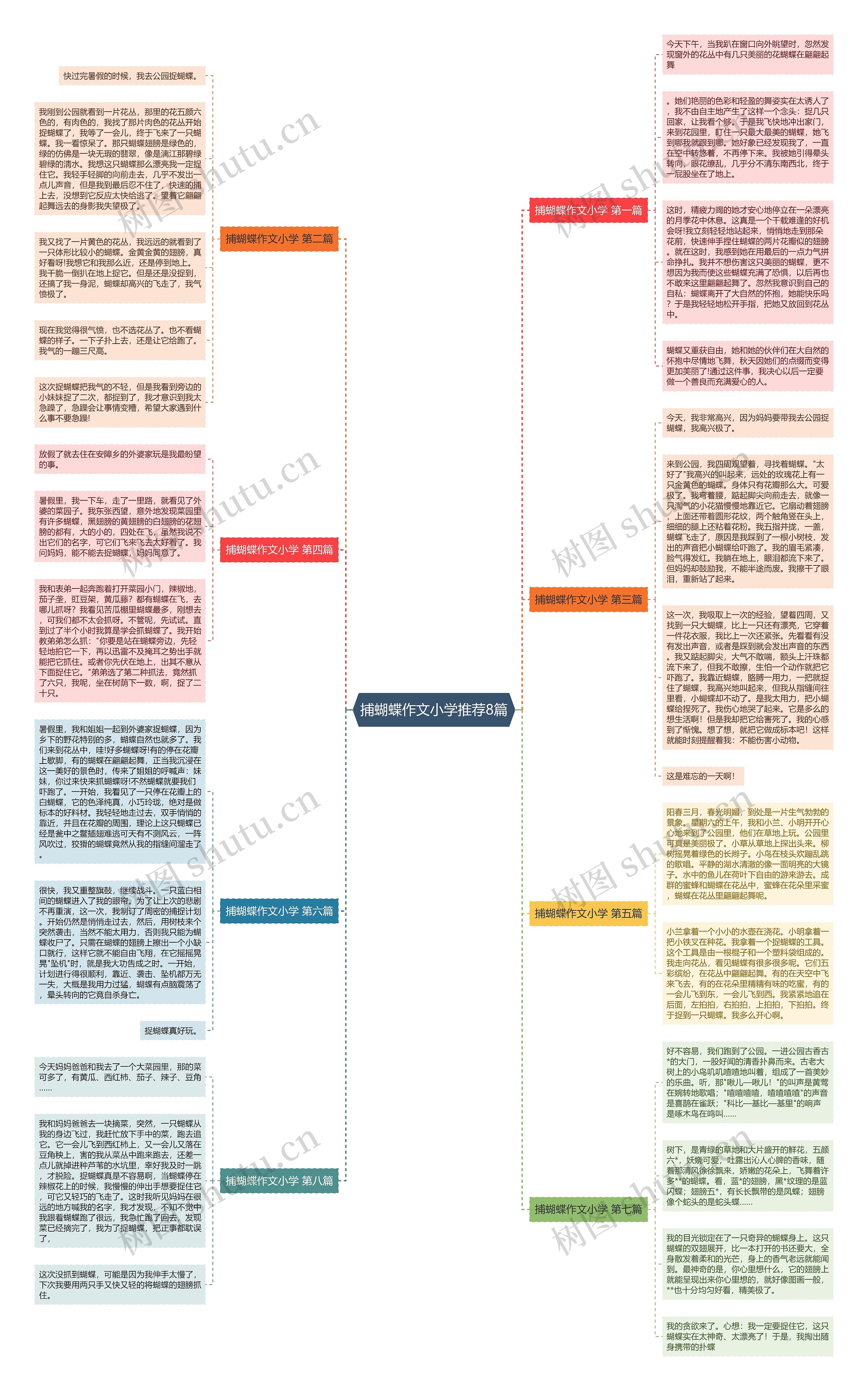 捕蝴蝶作文小学推荐8篇思维导图