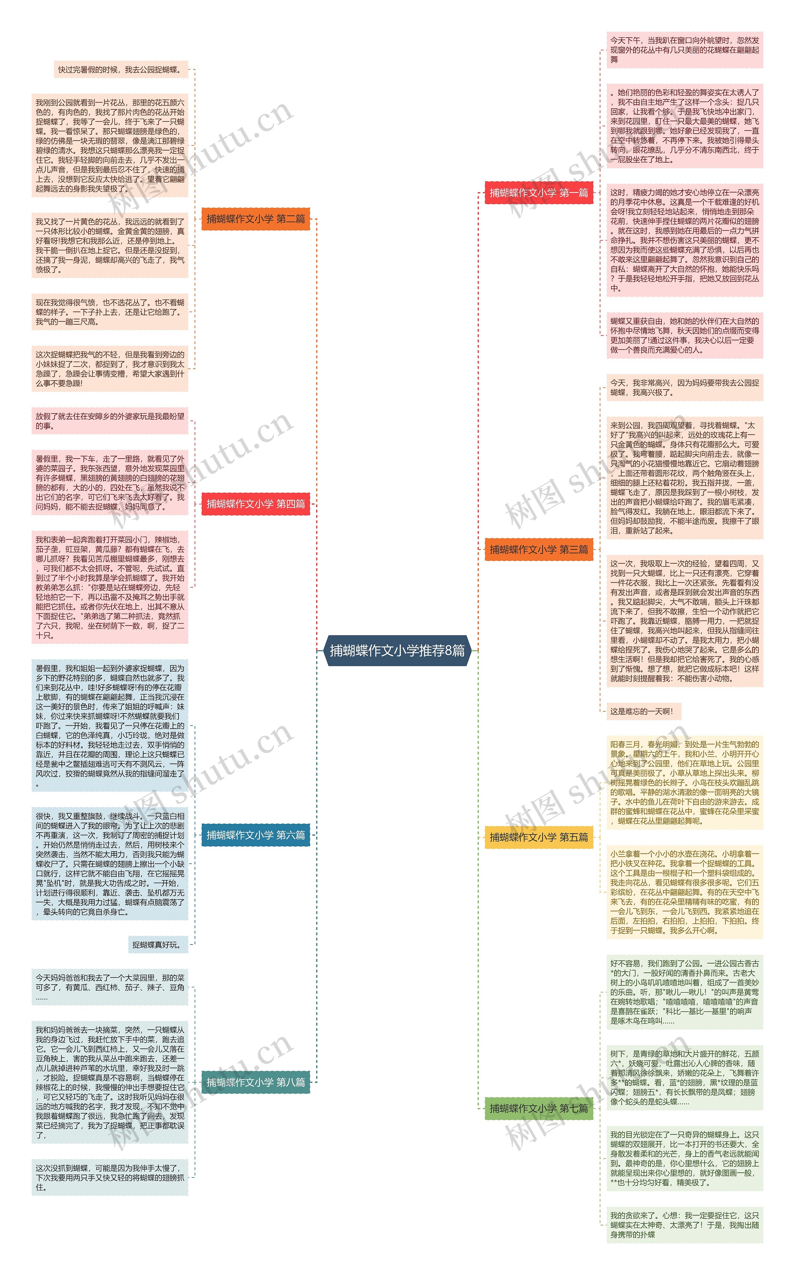 捕蝴蝶作文小学推荐8篇 捕蝴蝶作文小学推荐8篇