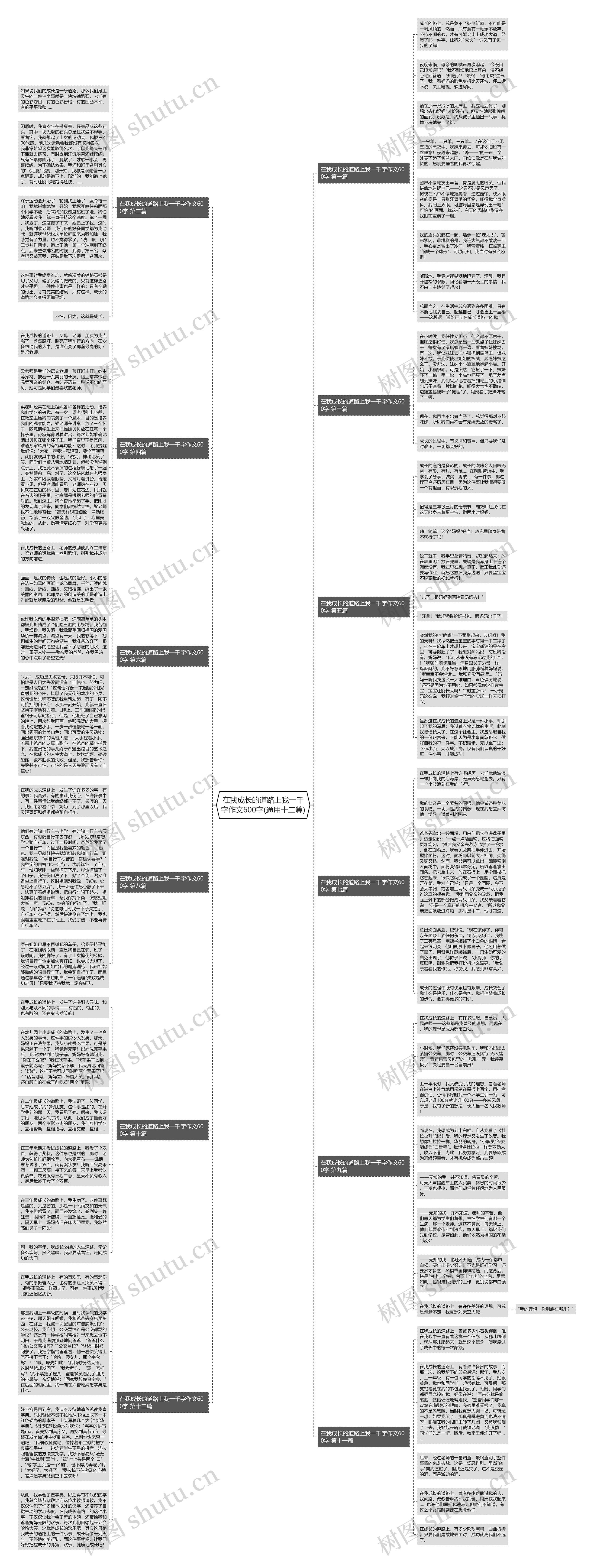 在我成长的道路上我一千字作文600字(通用十二篇)思维导图