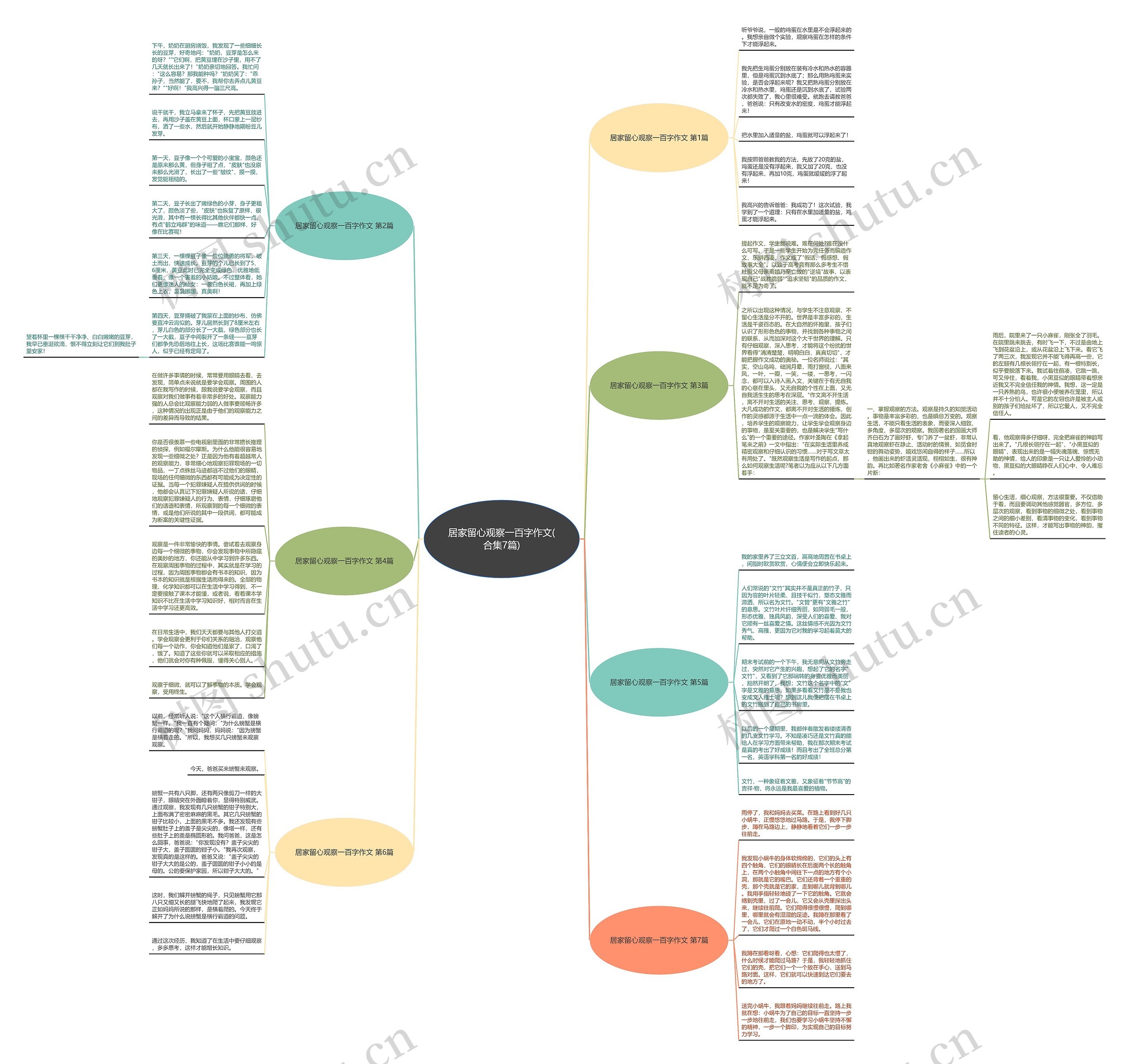 居家留心观察一百字作文(合集7篇)思维导图