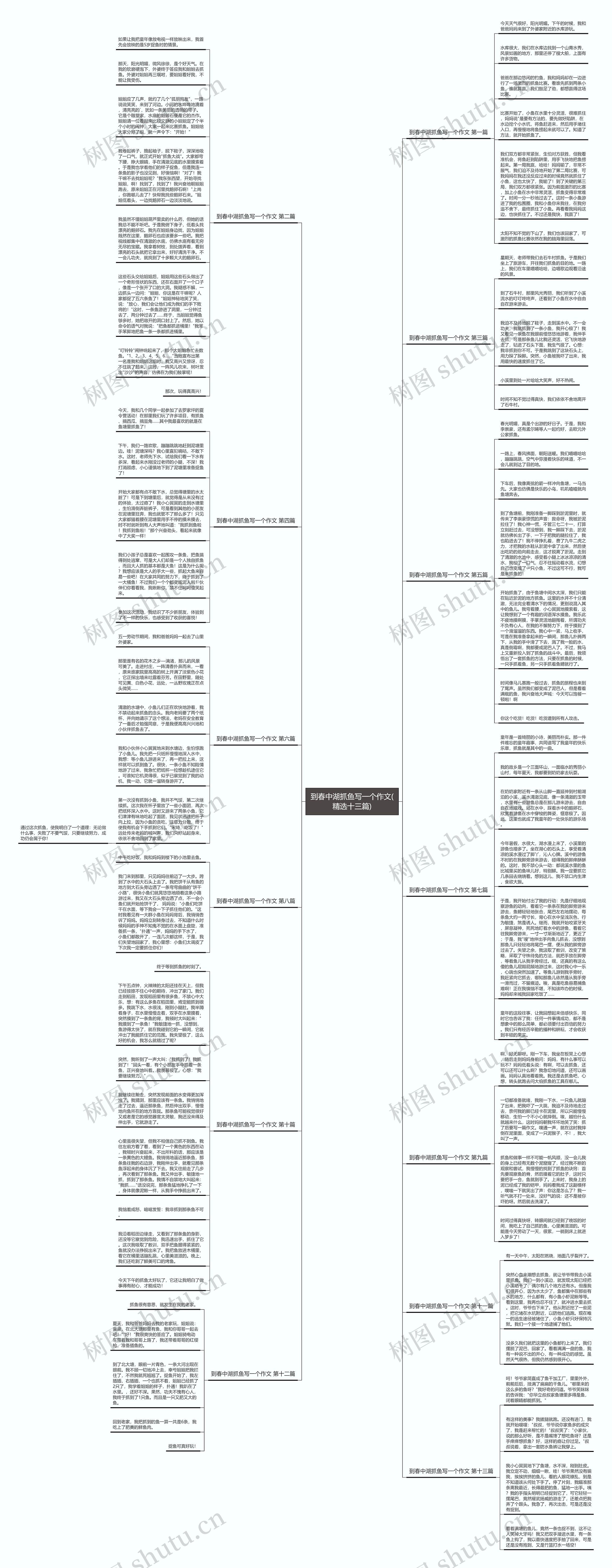 到春中湖抓鱼写一个作文(精选十三篇)思维导图
