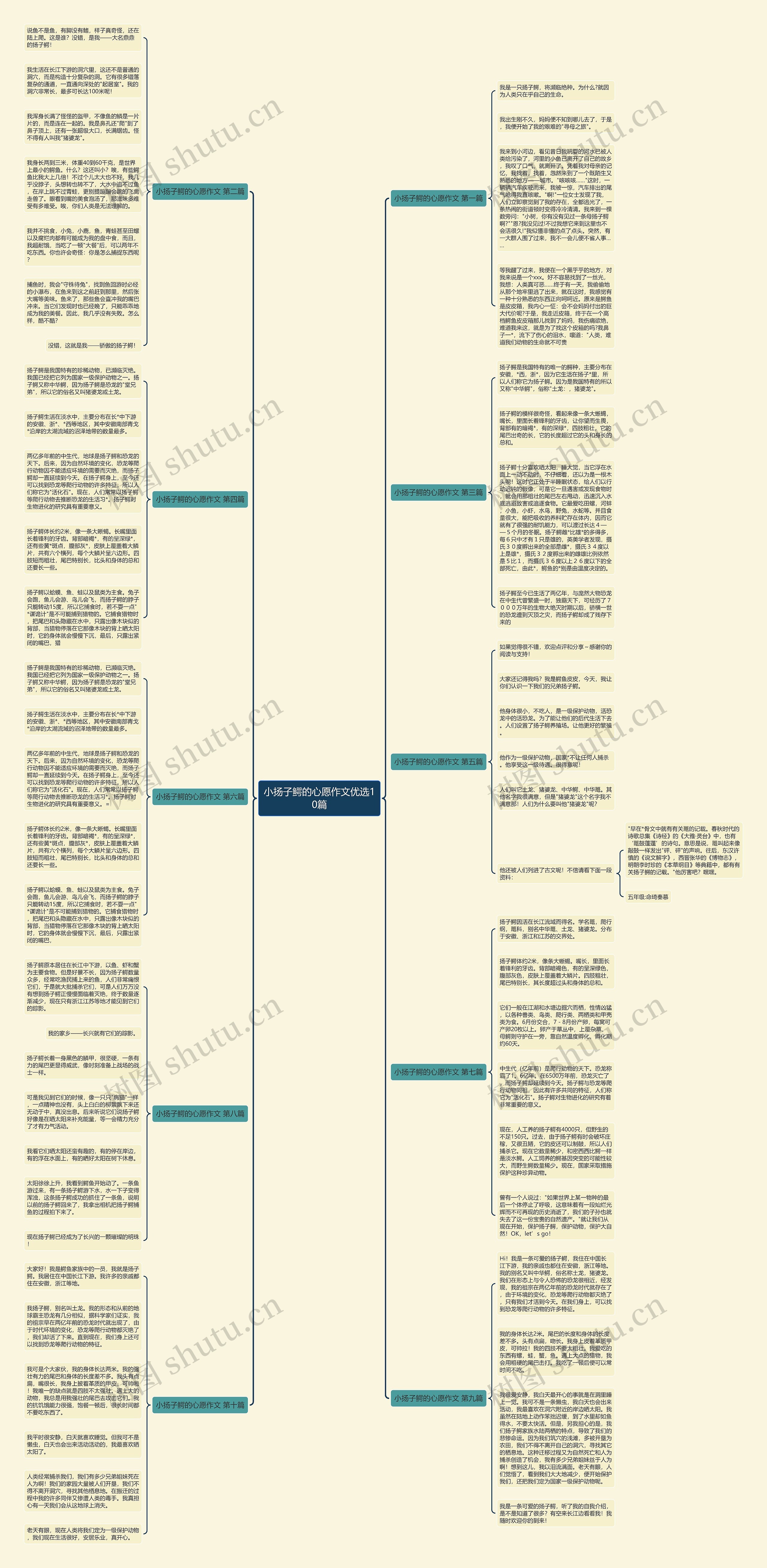 小扬子鳄的心愿作文优选10篇思维导图