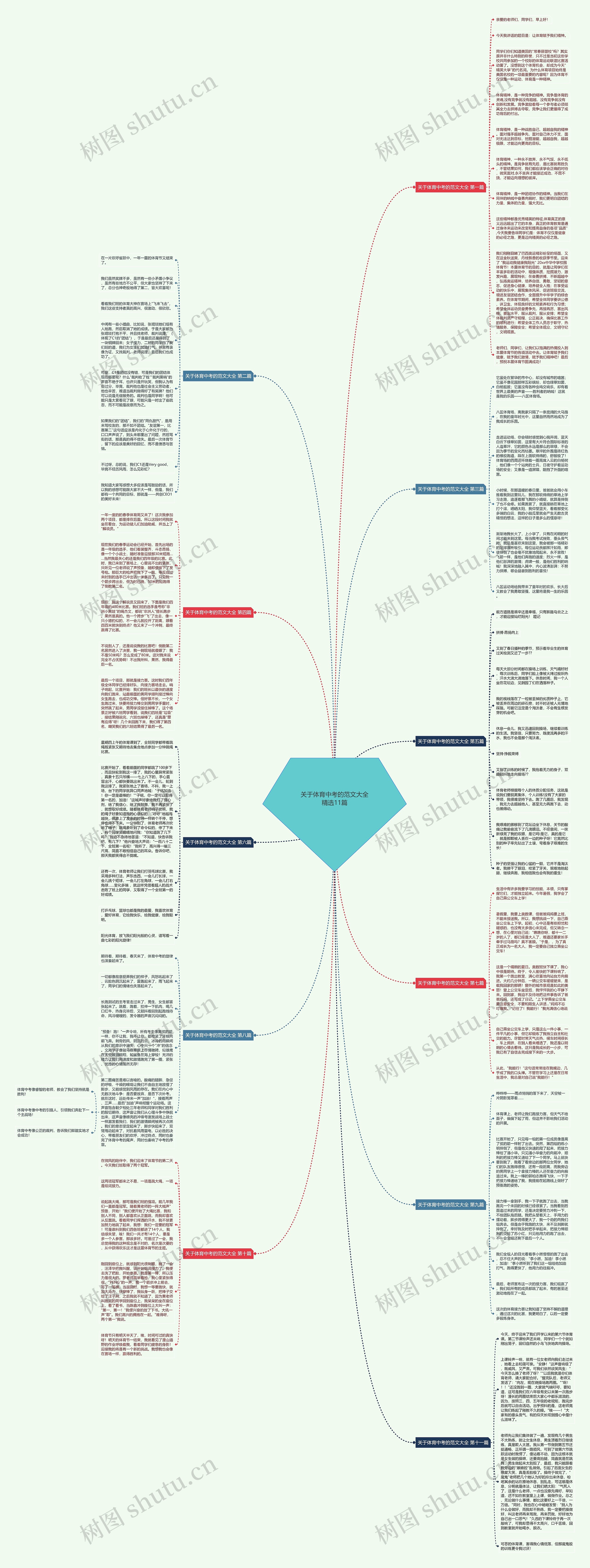 关于体育中考的范文大全精选11篇思维导图