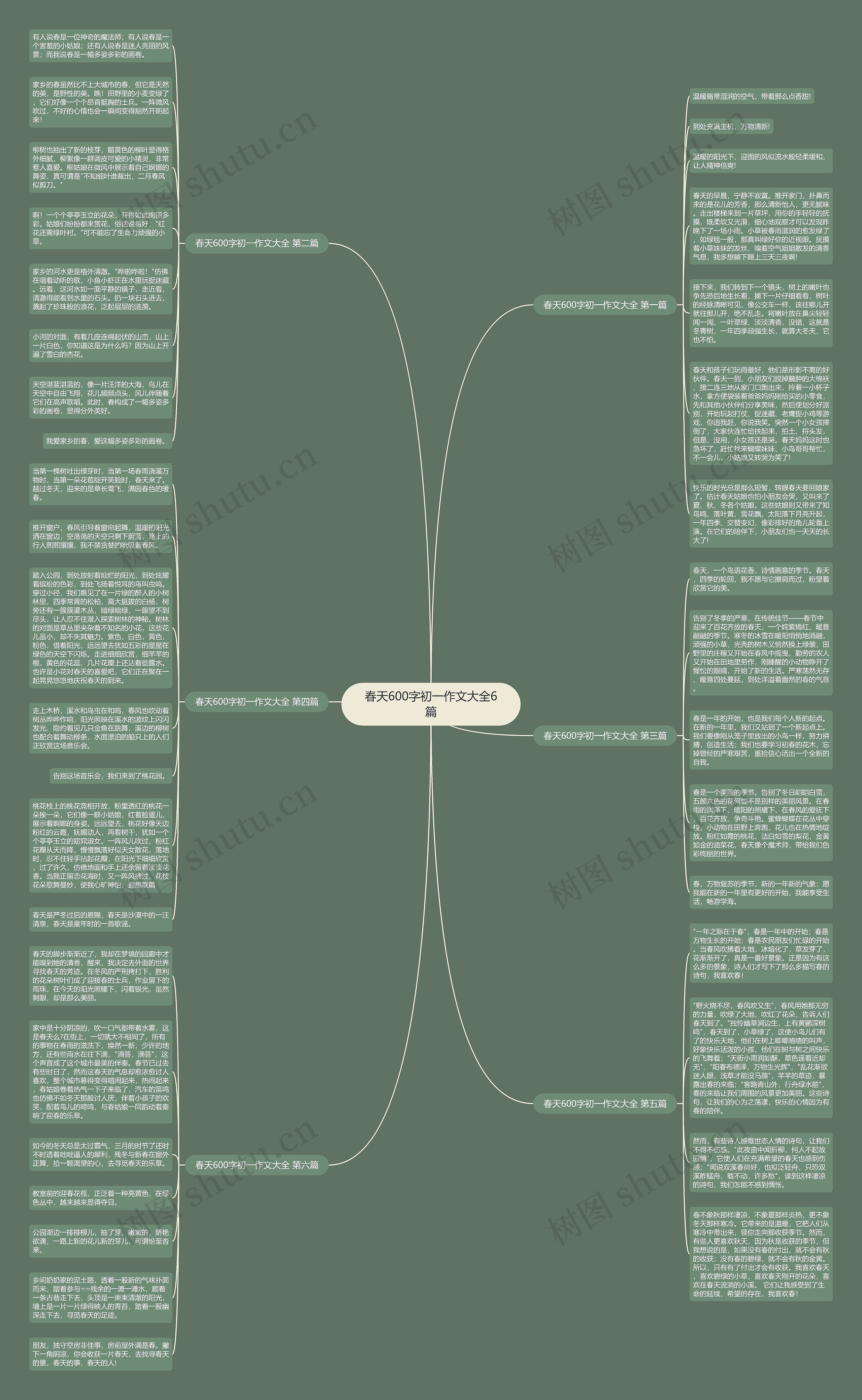 春天600字初一作文大全6篇思维导图