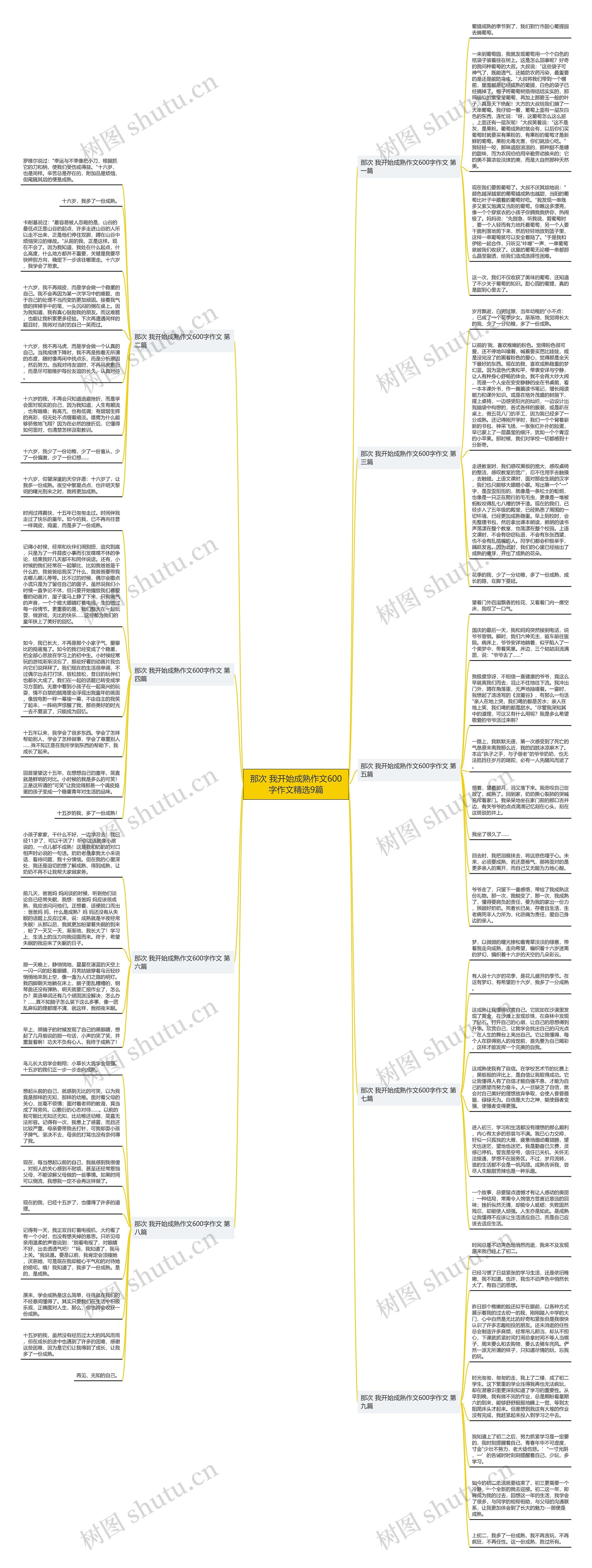 那次 我开始成熟作文600字作文精选9篇思维导图