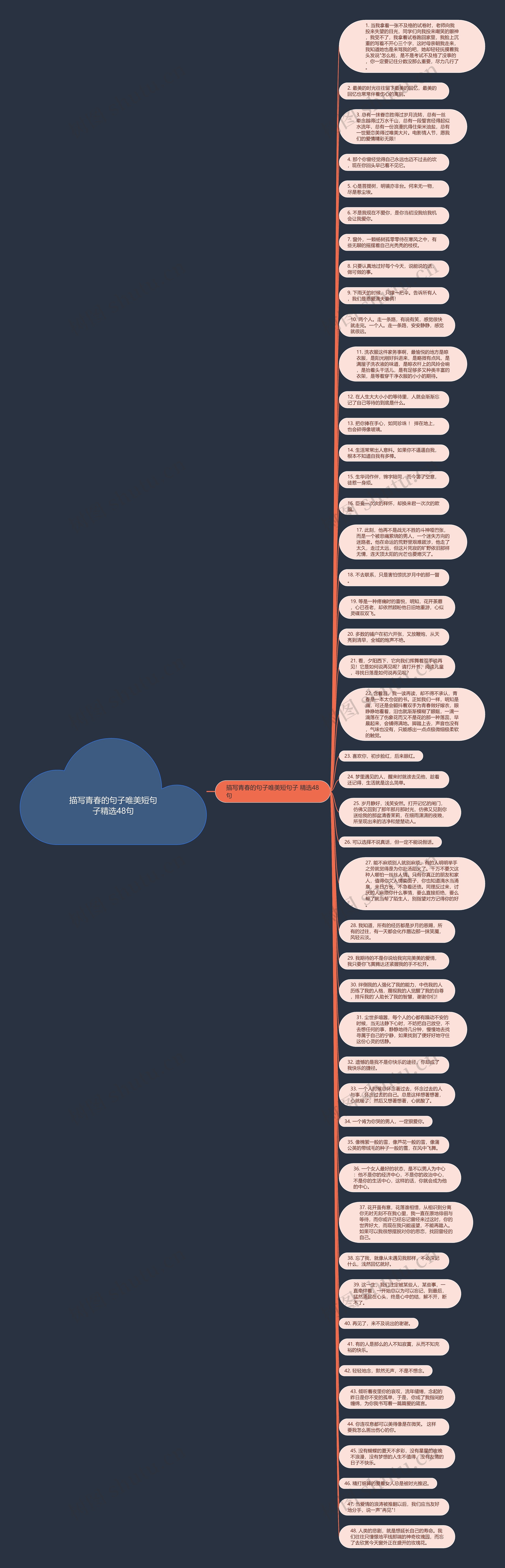 描写青春的句子唯美短句子精选48句思维导图高清图 描写青春的句子唯美短句子精选48句思维导图