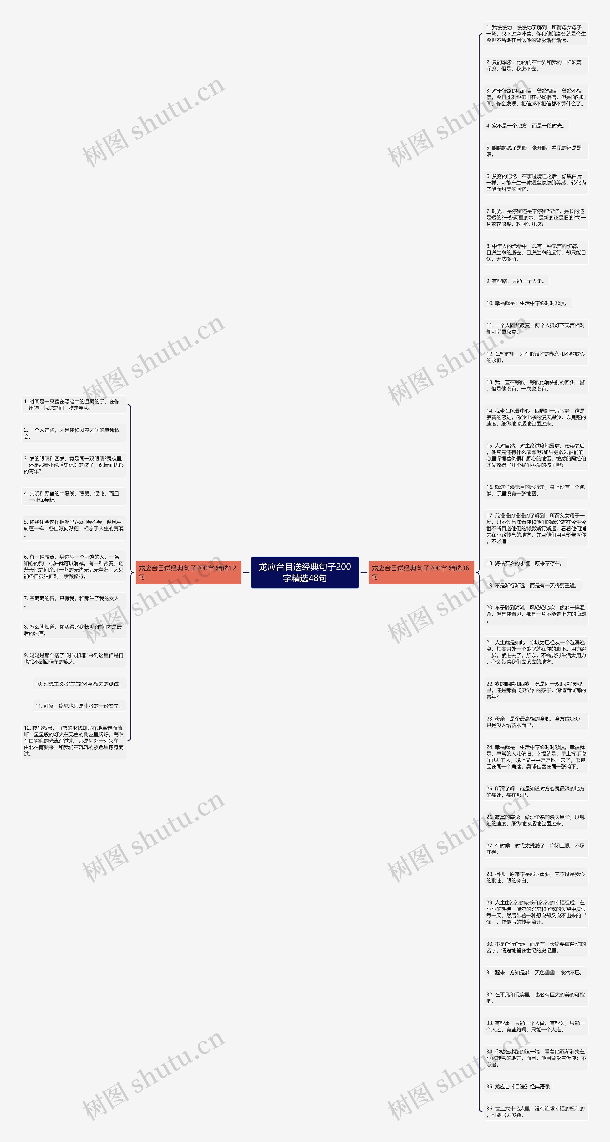 龙应台目送经典句子200字精选48句思维导图