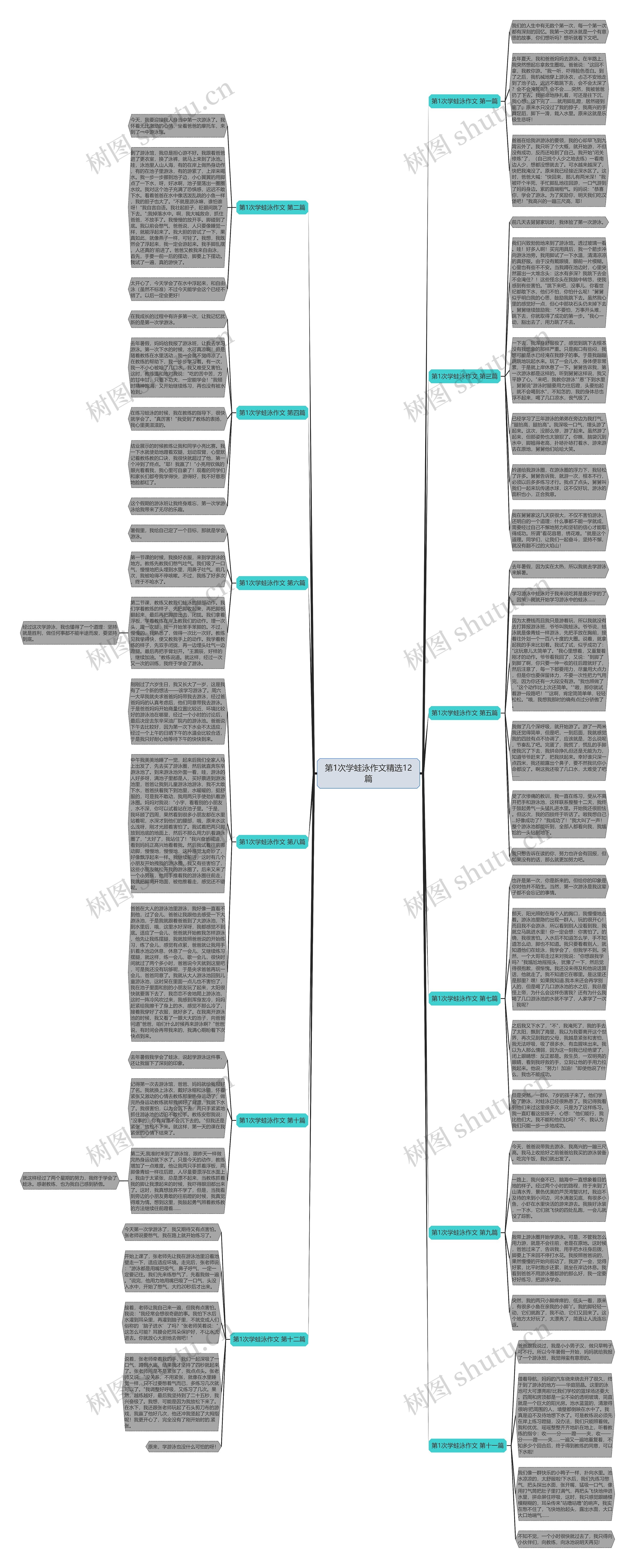 第1次学蛙泳作文精选12篇思维导图