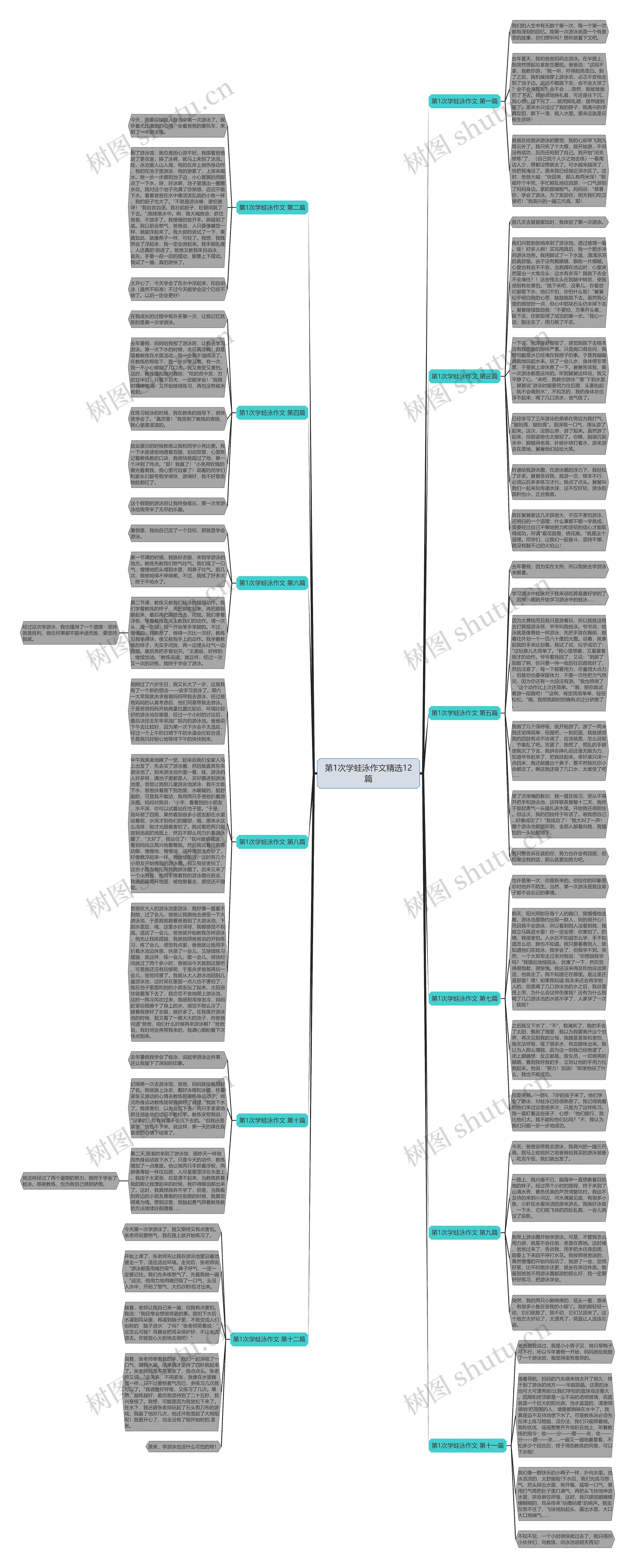 第1次学蛙泳作文精选12篇思维导图高清图 第1次学蛙泳作文精选12篇思维导图