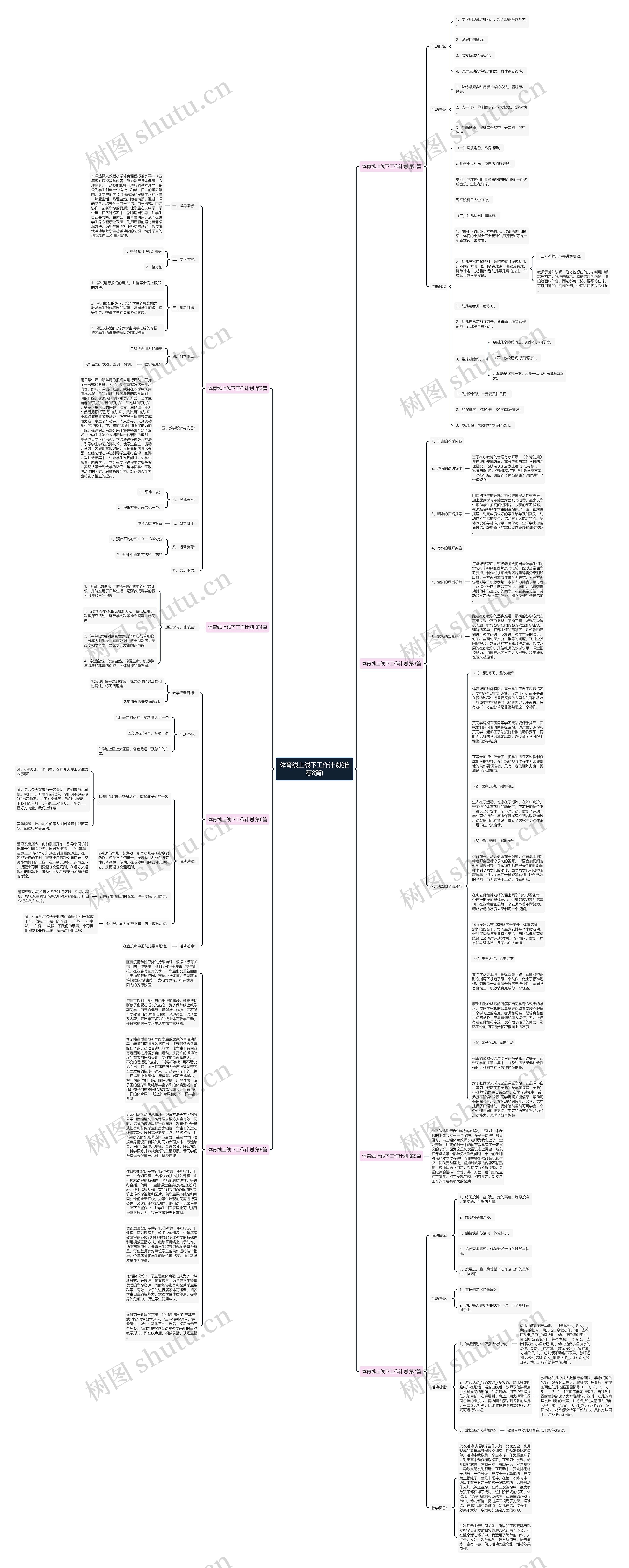 体育线上线下工作计划(推荐8篇)思维导图