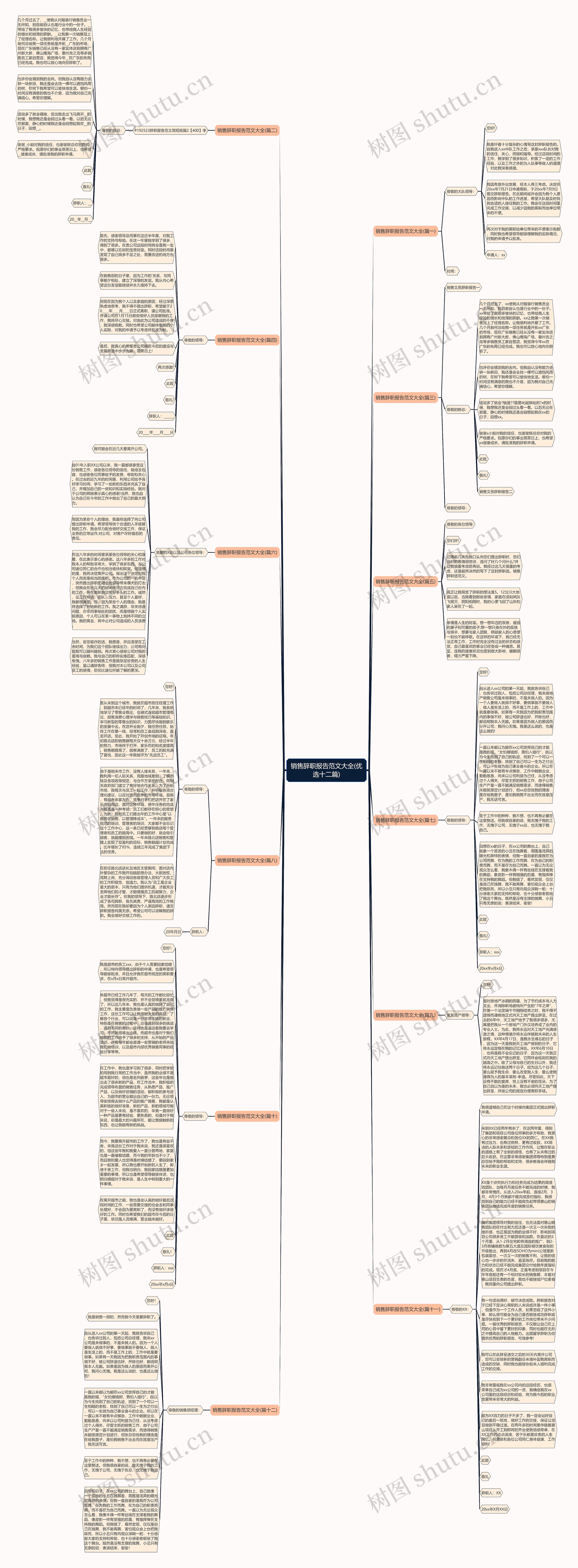销售辞职报告范文大全(优选十二篇)思维导图