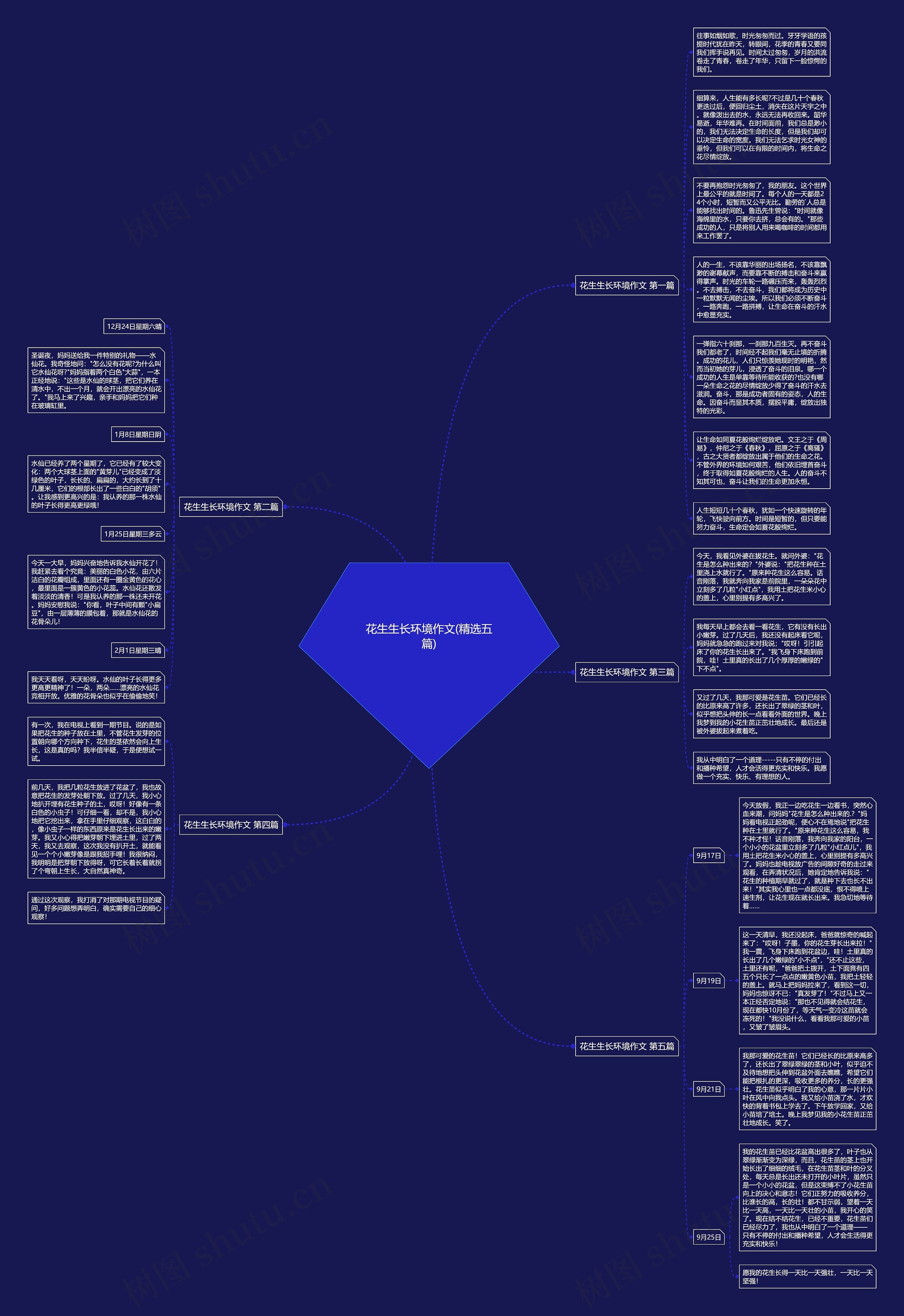 花生生长环境作文(精选五篇)思维导图