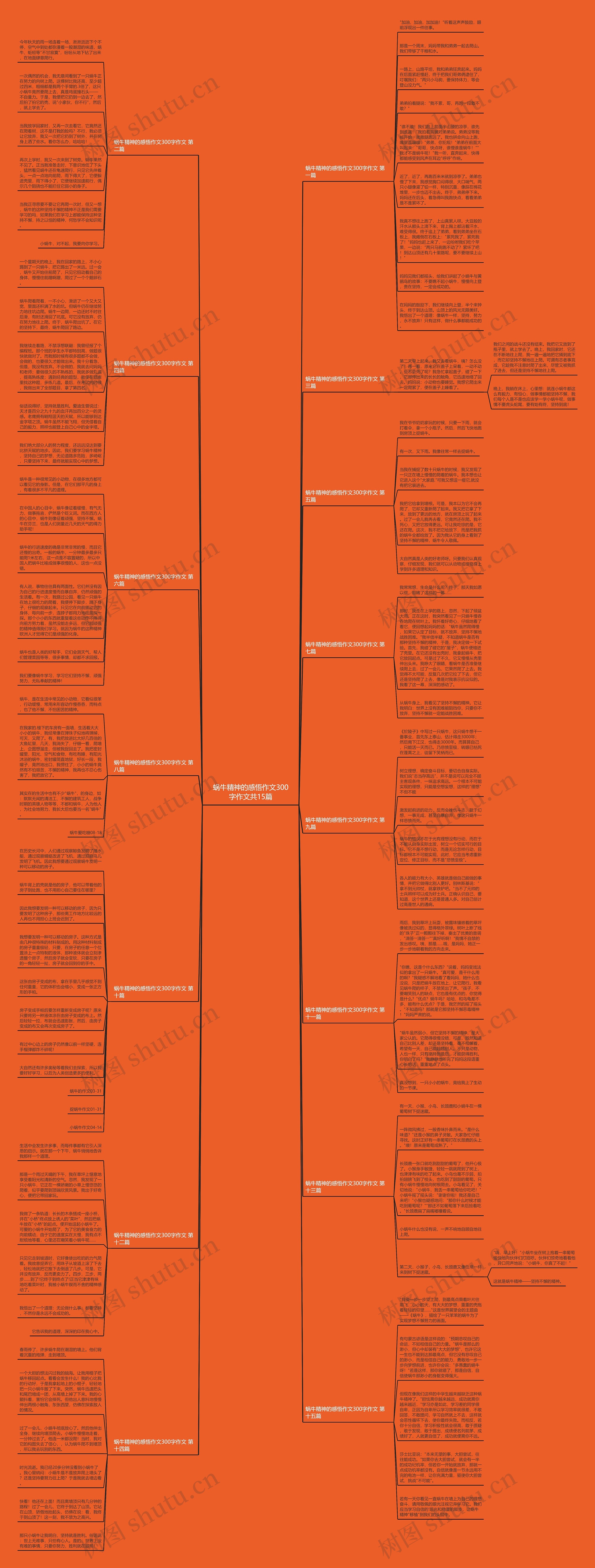 蜗牛精神的感悟作文300字作文共15篇思维导图