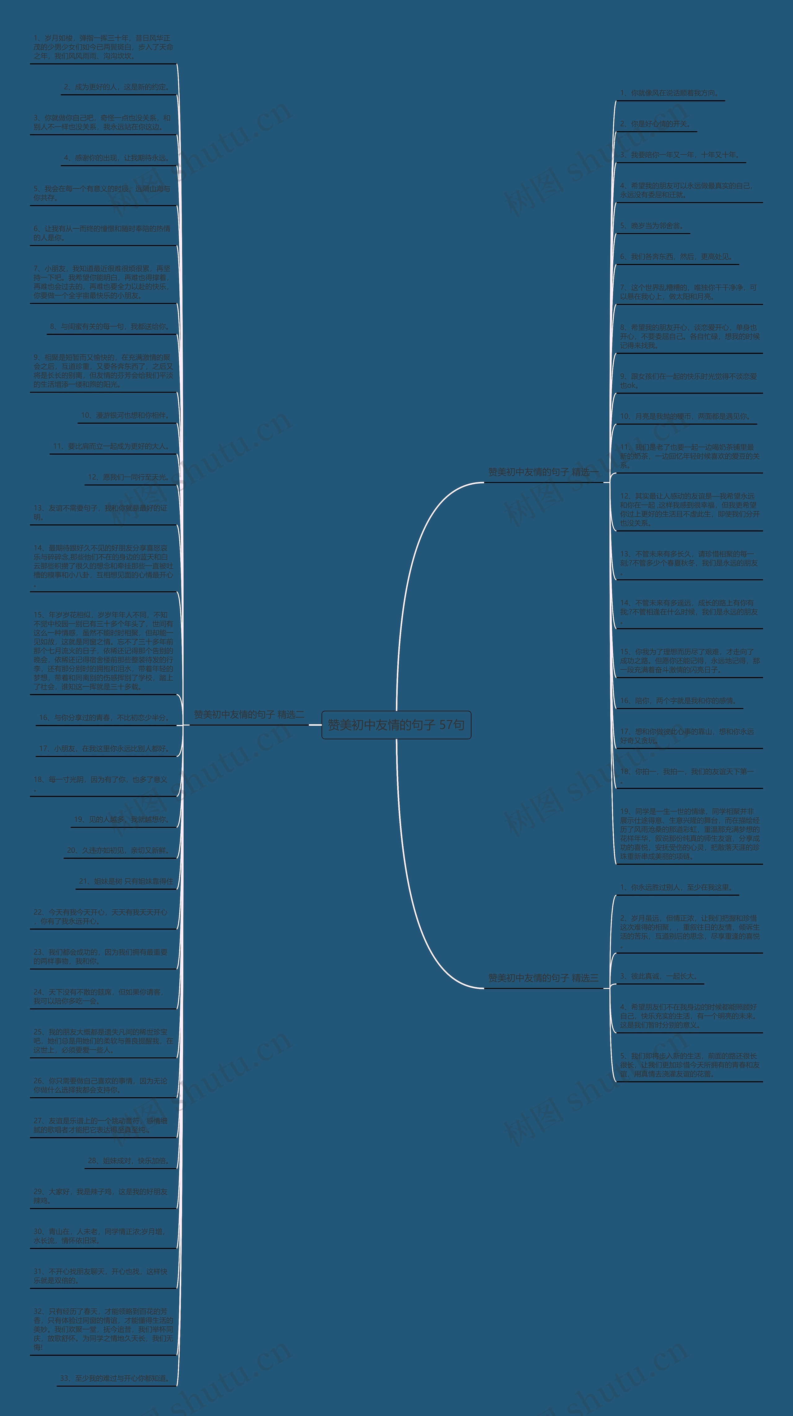 赞美初中友情的句子 57句思维导图