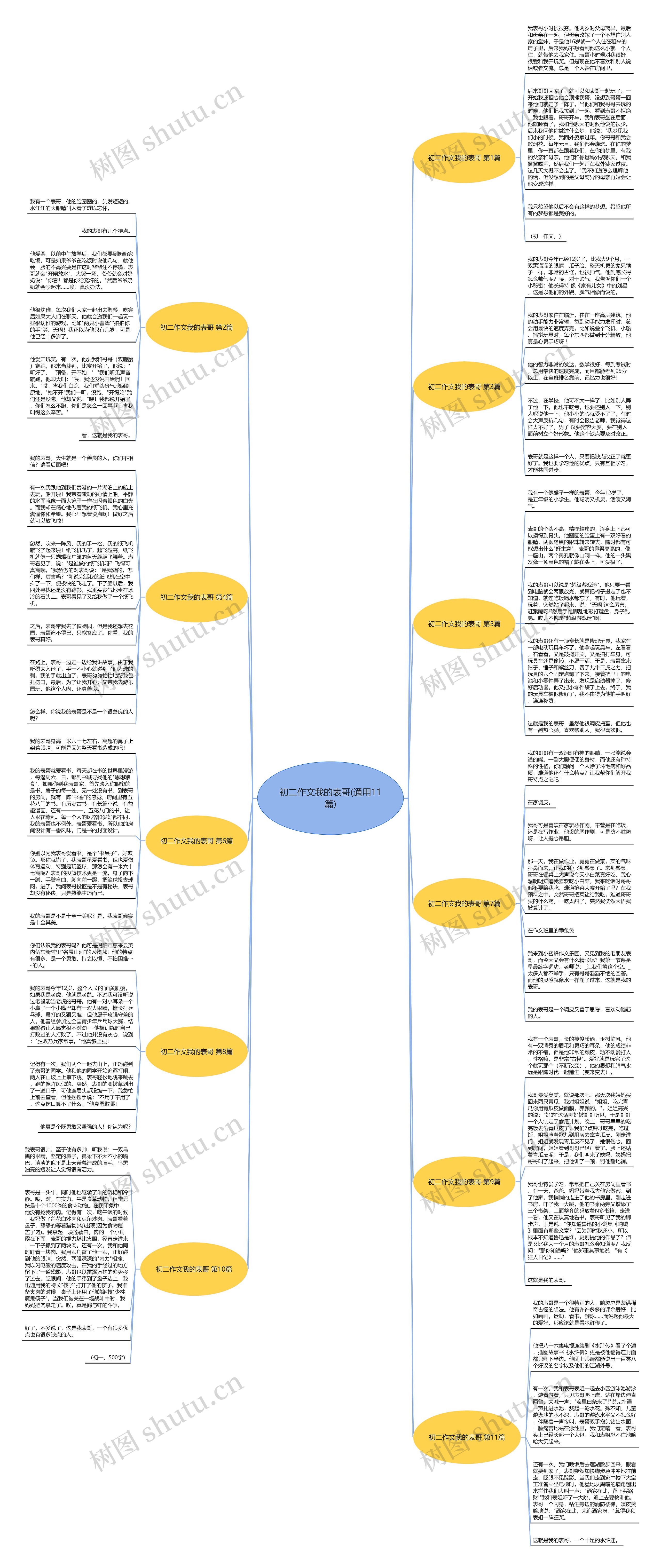 初二作文我的表哥(通用11篇)思维导图