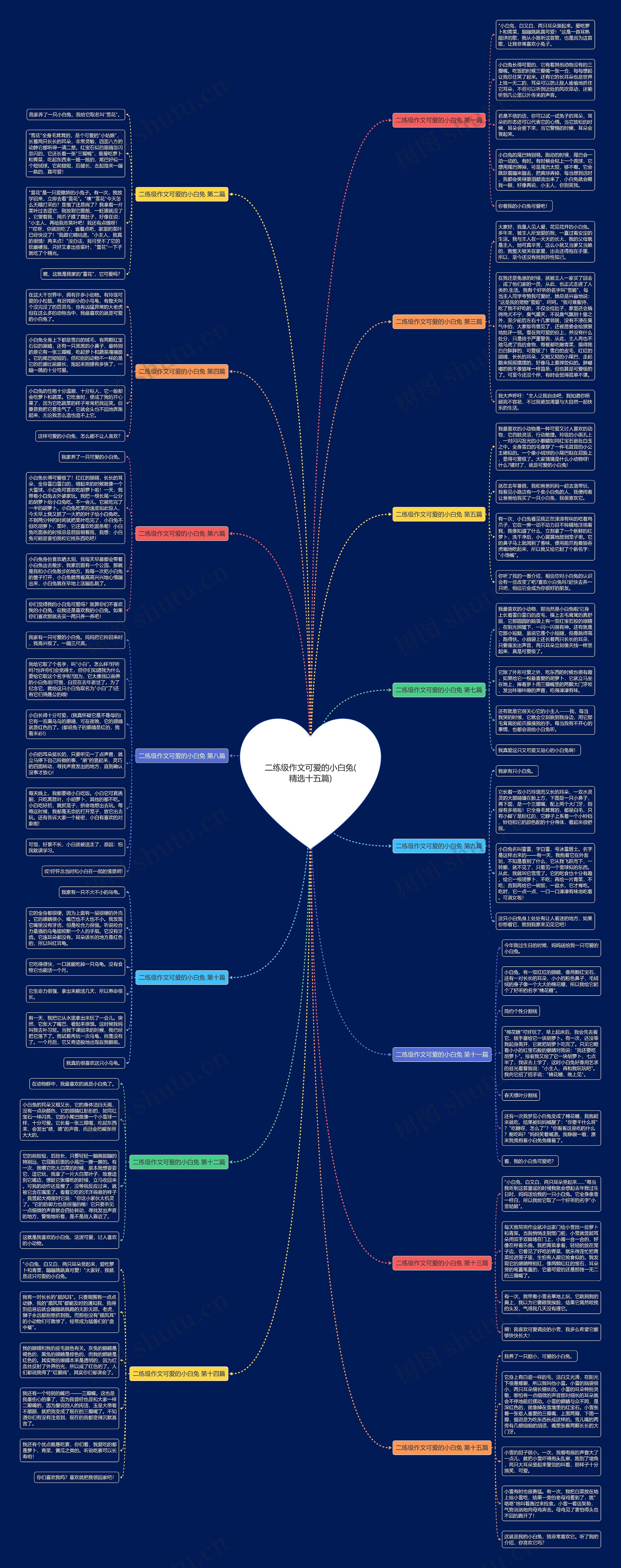 二练级作文可爱的小白兔(精选十五篇)思维导图