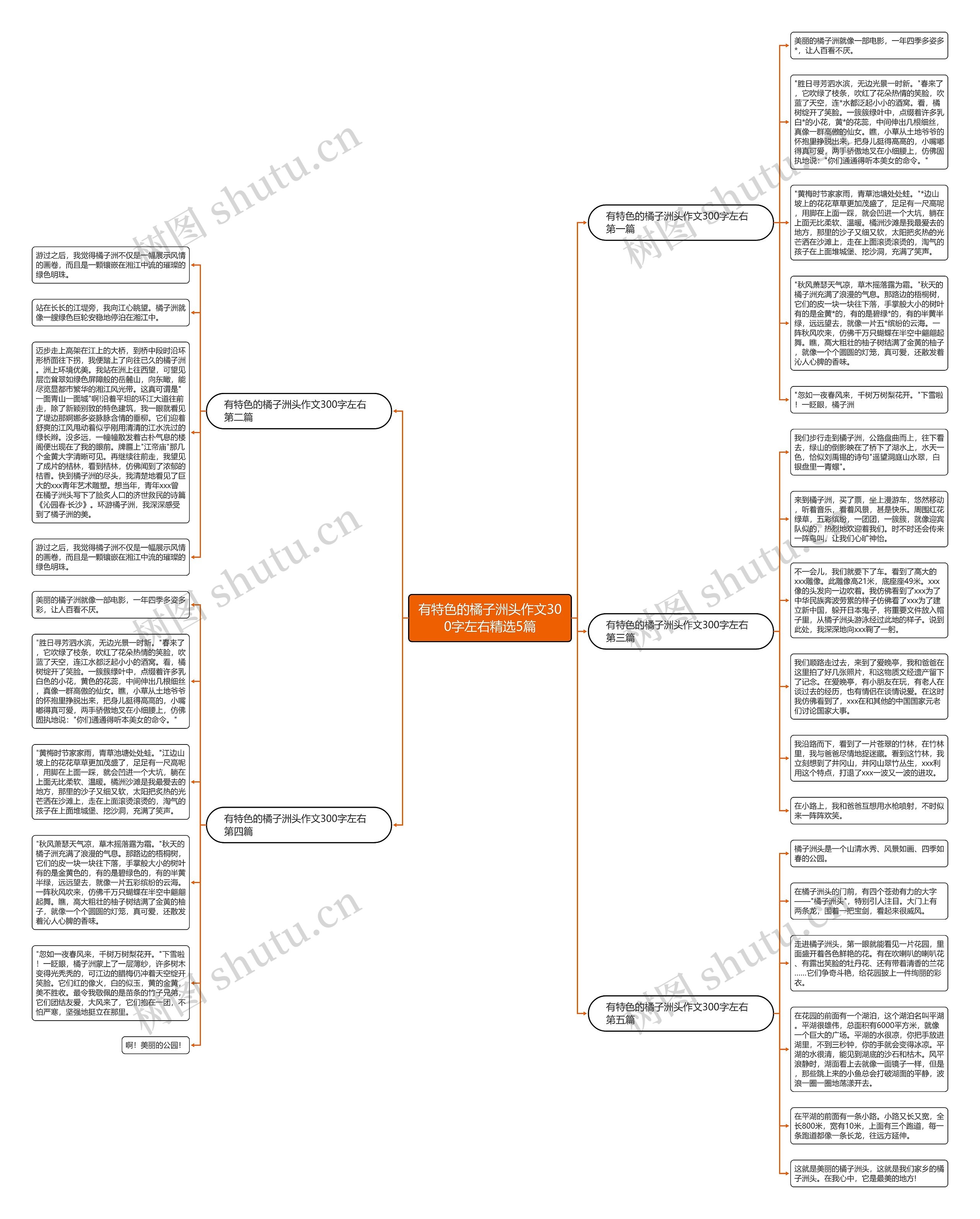 有特色的橘子洲头作文300字左右精选5篇思维导图