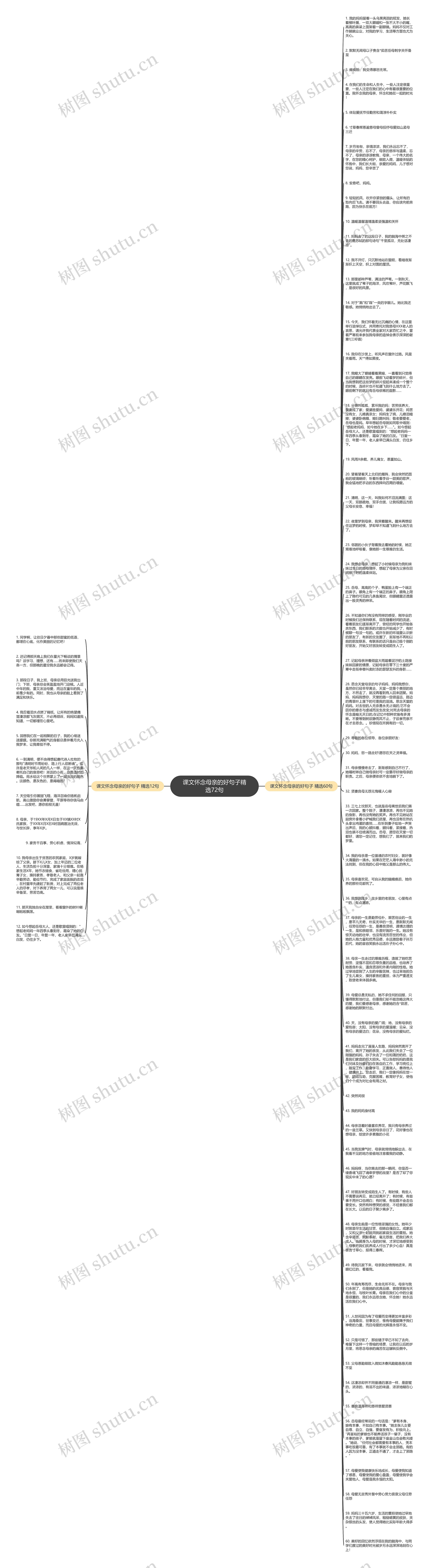 课文怀念母亲的好句子精选72句思维导图