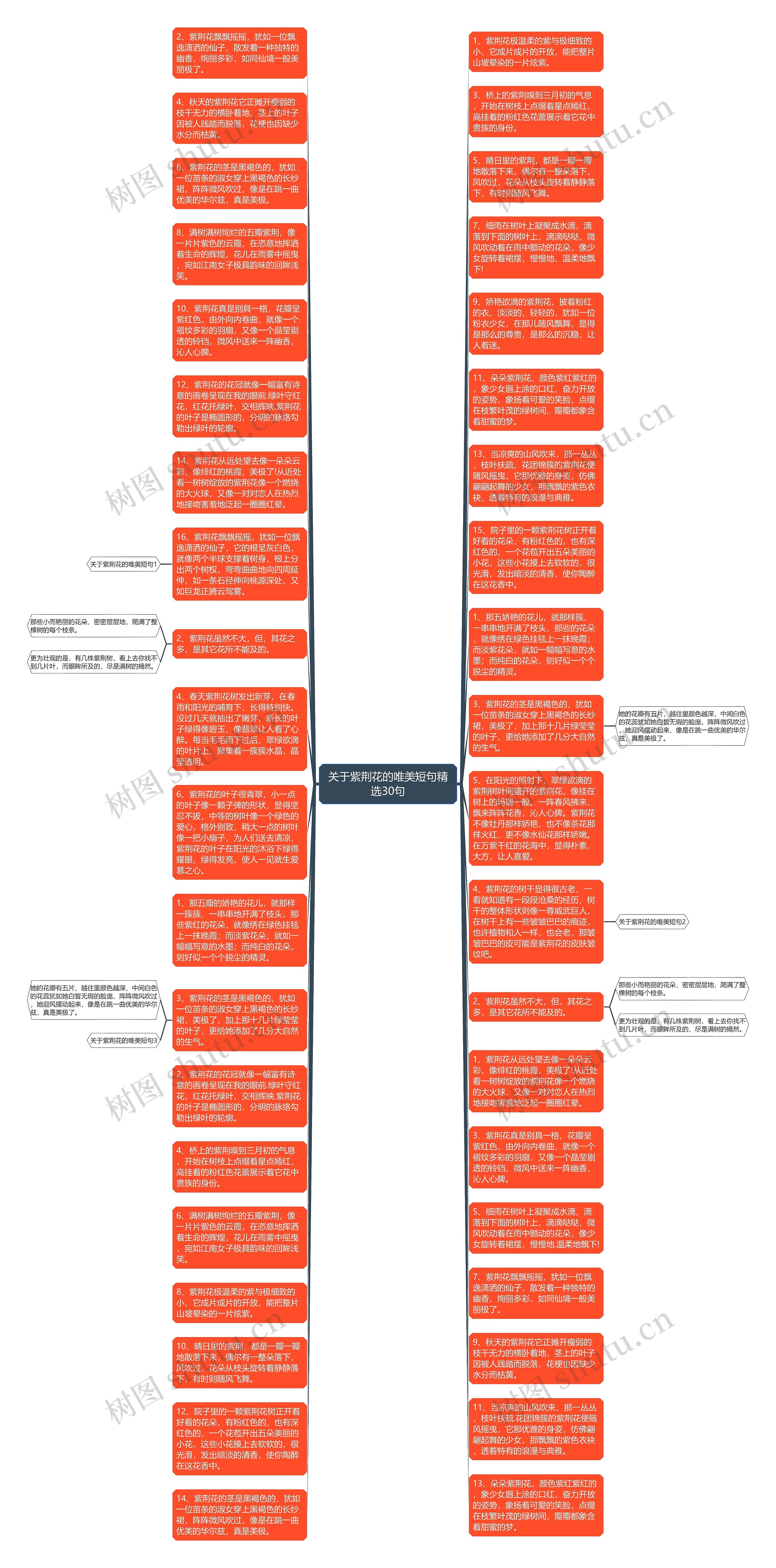 关于紫荆花的唯美短句精选30句思维导图高清图 关于紫荆花的唯美短句精选30句思维导图